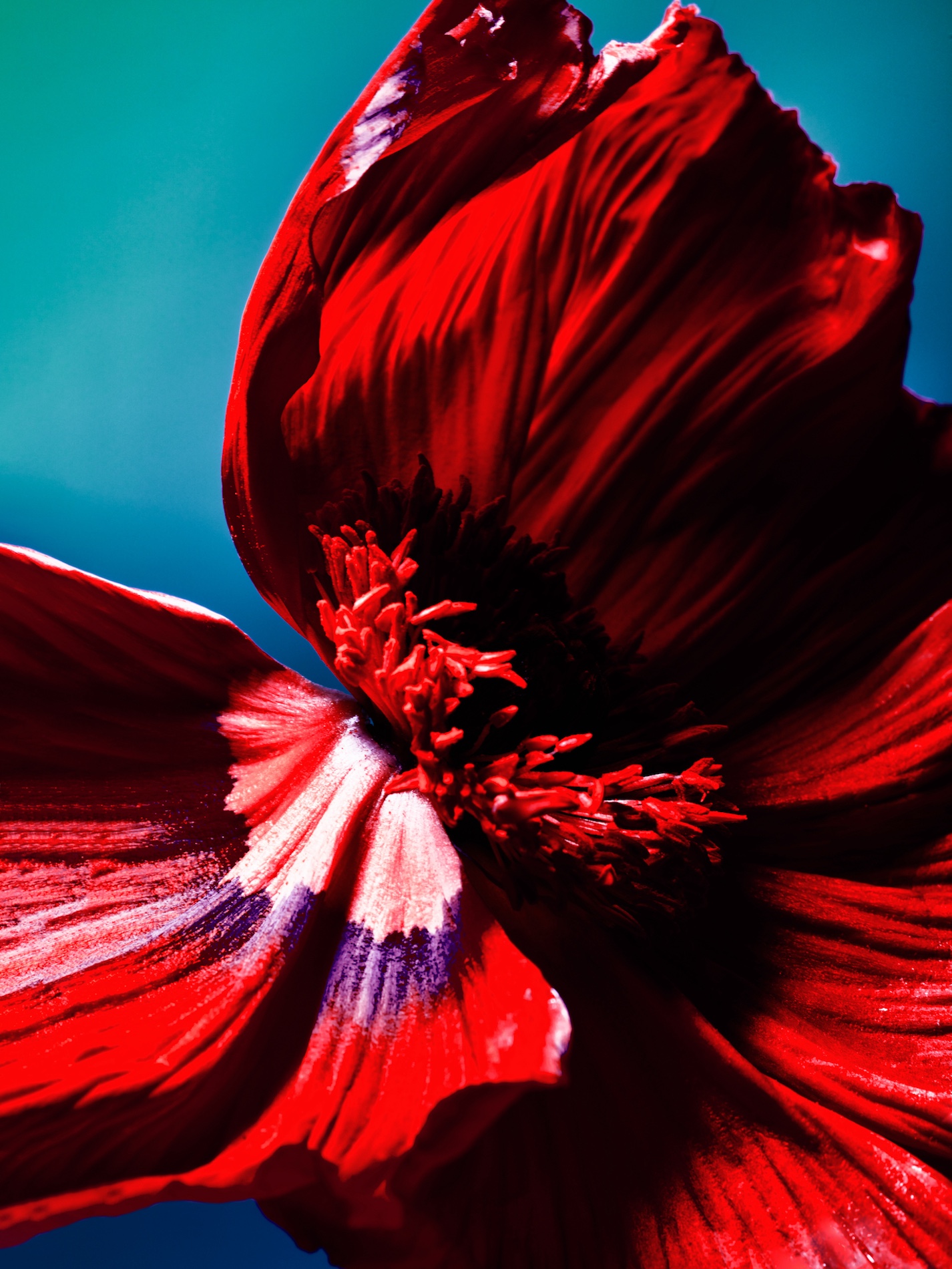 035 Fernando Gomez Craetive Paris Bold Make Up