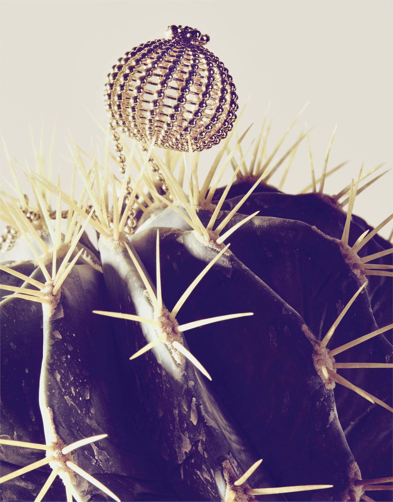 035 Karina Twiss Craetive Paris Portfolio Cartier Cactus