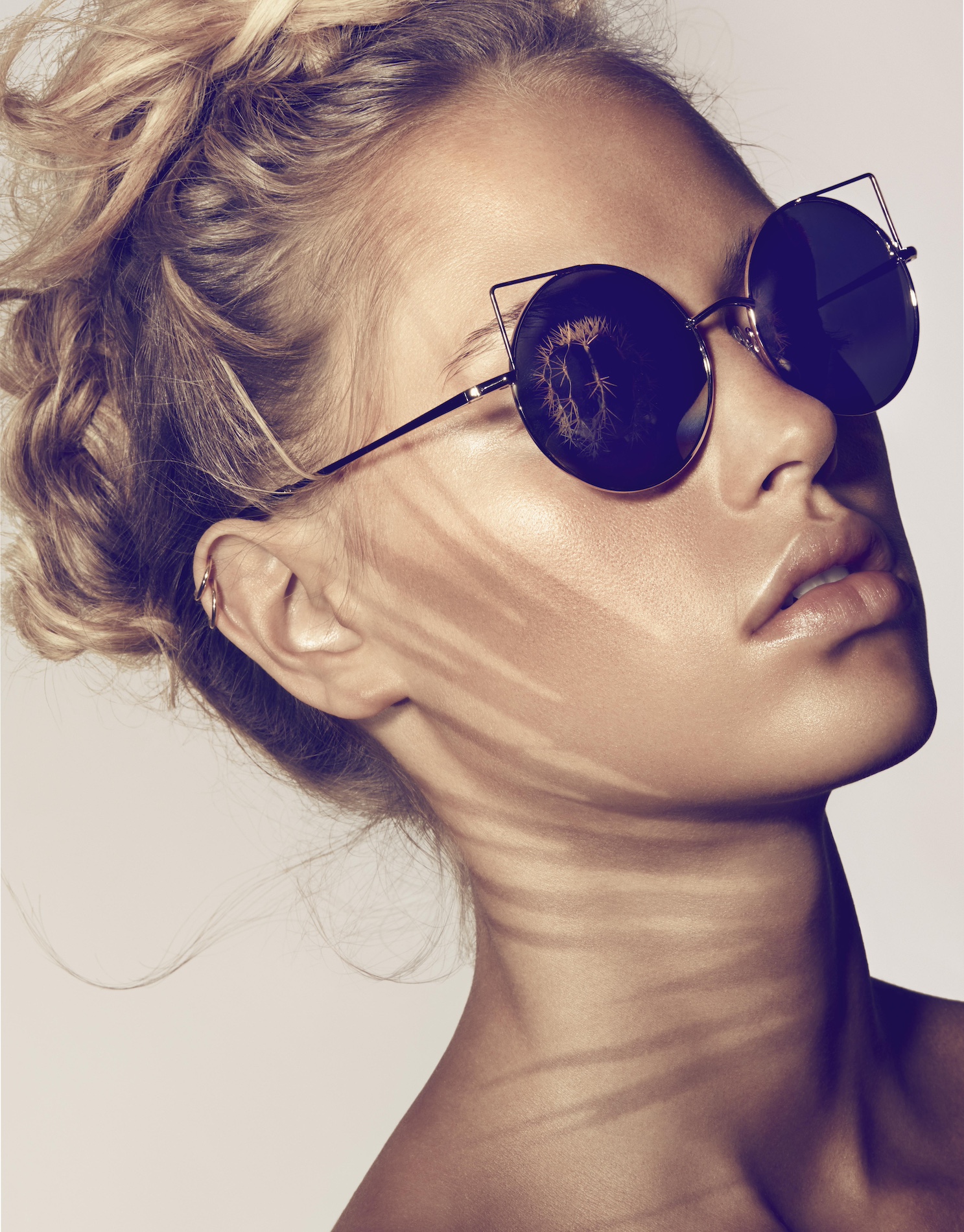 036 Karina Twiss Craetive Paris Portfolio Cartier Cactus