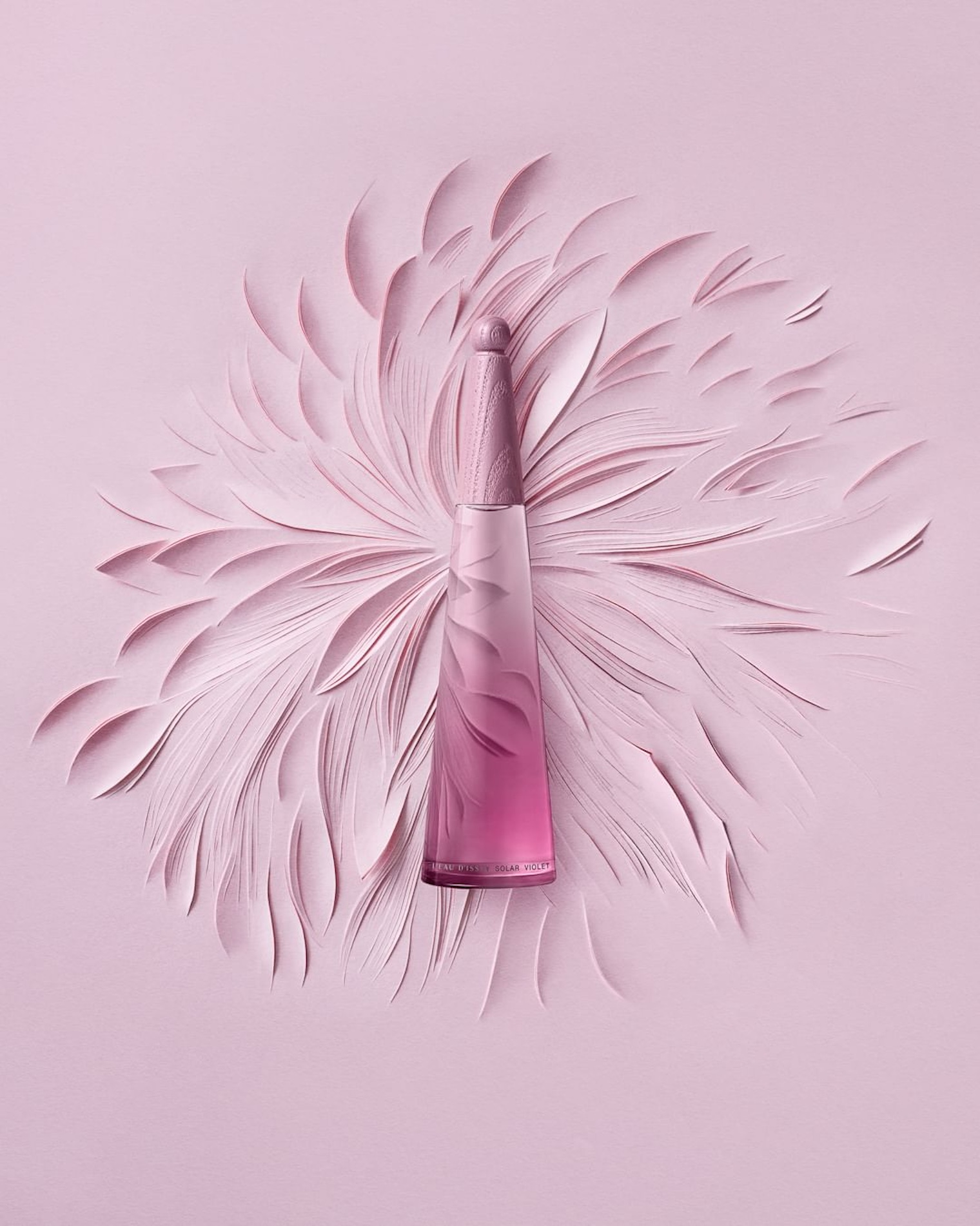 037 Cloe Vriet Craetive Paris Paper Artist Portfolio