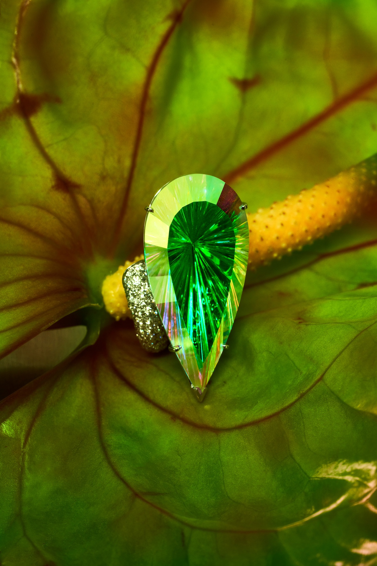 037 Fernando Gomez Craetive Paris Jewelry