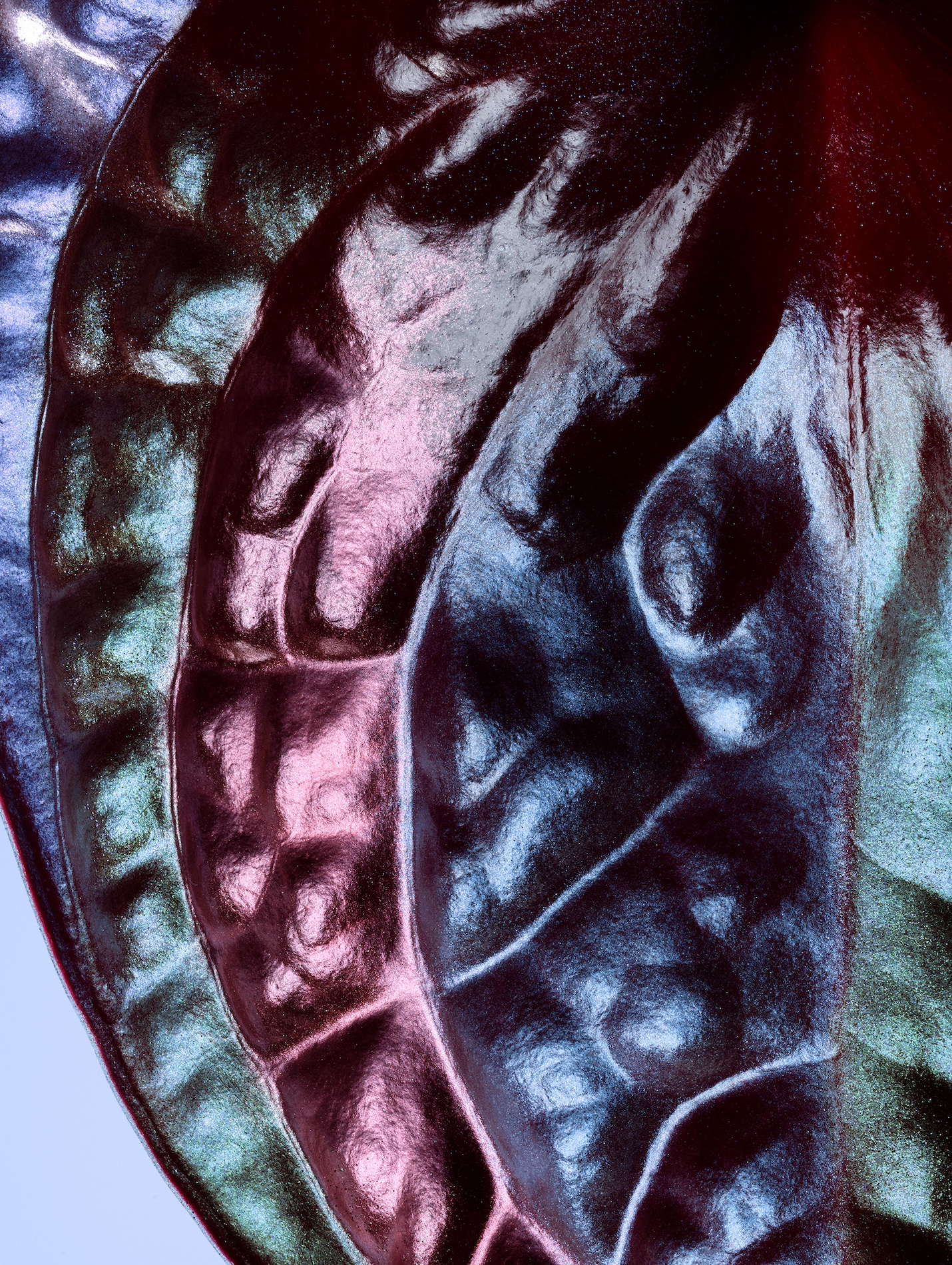 037 Jean Baptiste Degez Flowers Craetive Paris