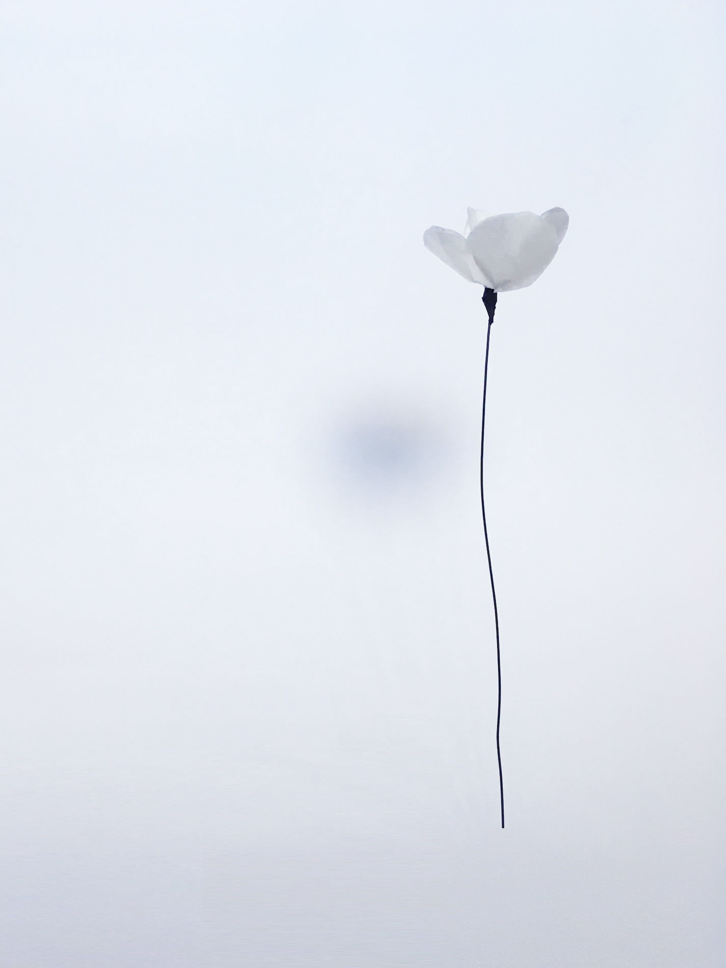 039 Cloe Vriet Craetive Paris Paper Artist Portfolio