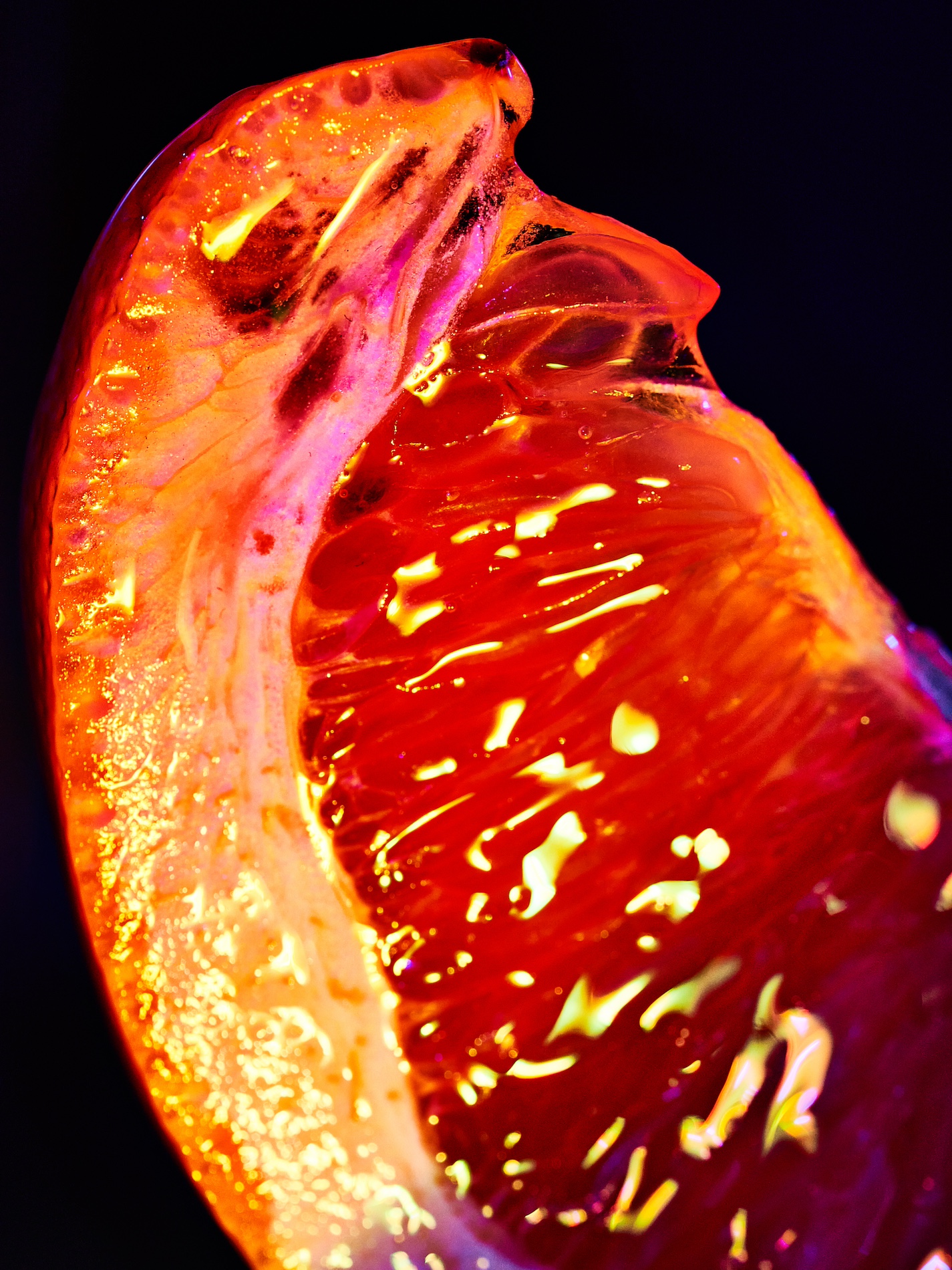 03 Fernando Gomez Craetive Paris Fragrances Flowers