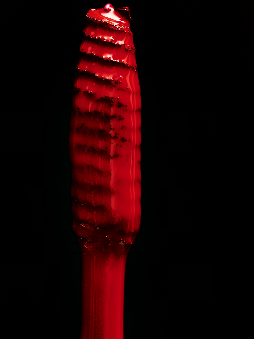 041 Fernando Gomez Craetive Paris Bold Make Up