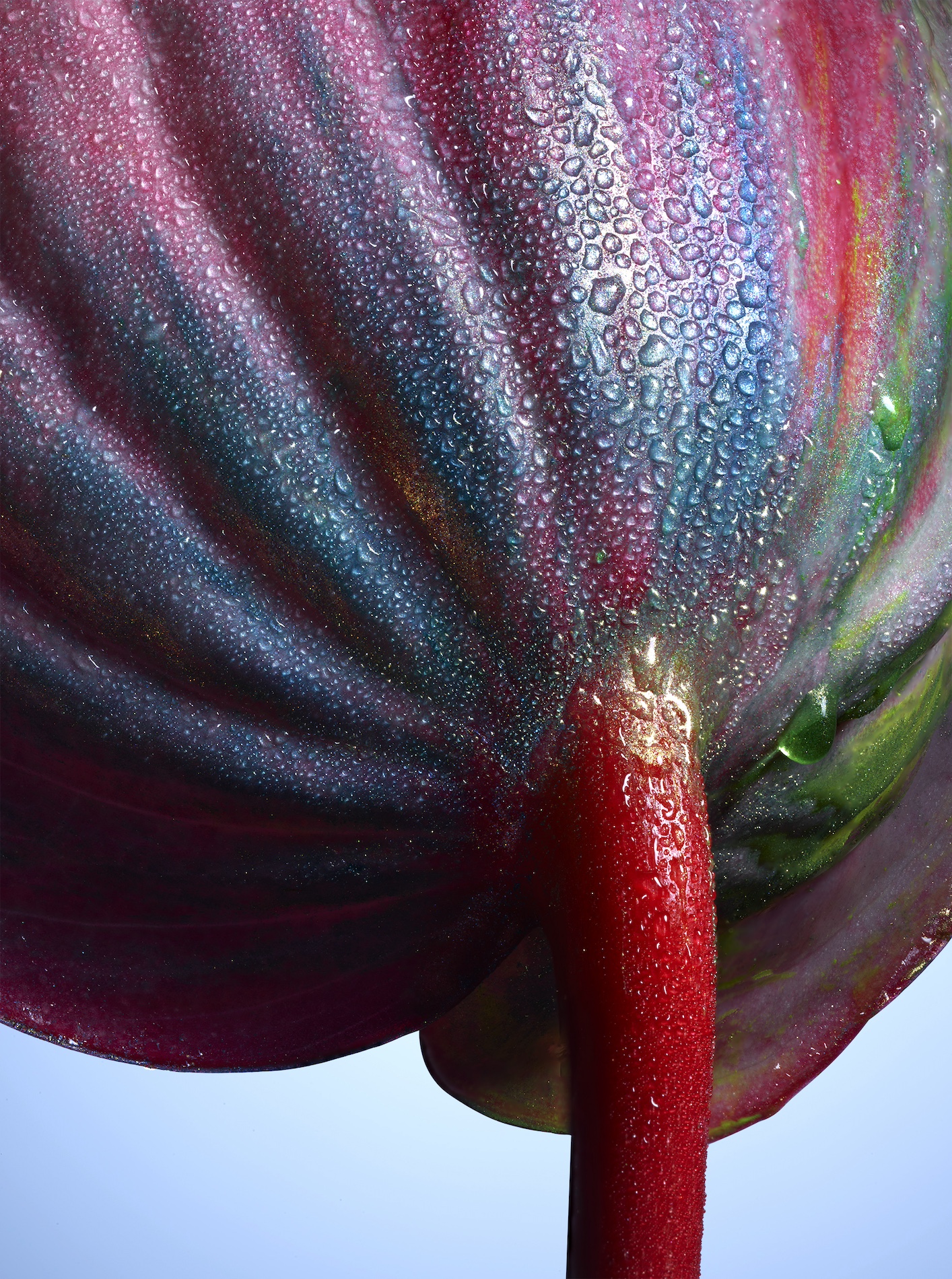 041 Jean Baptiste Degez Flowers Craetive Paris