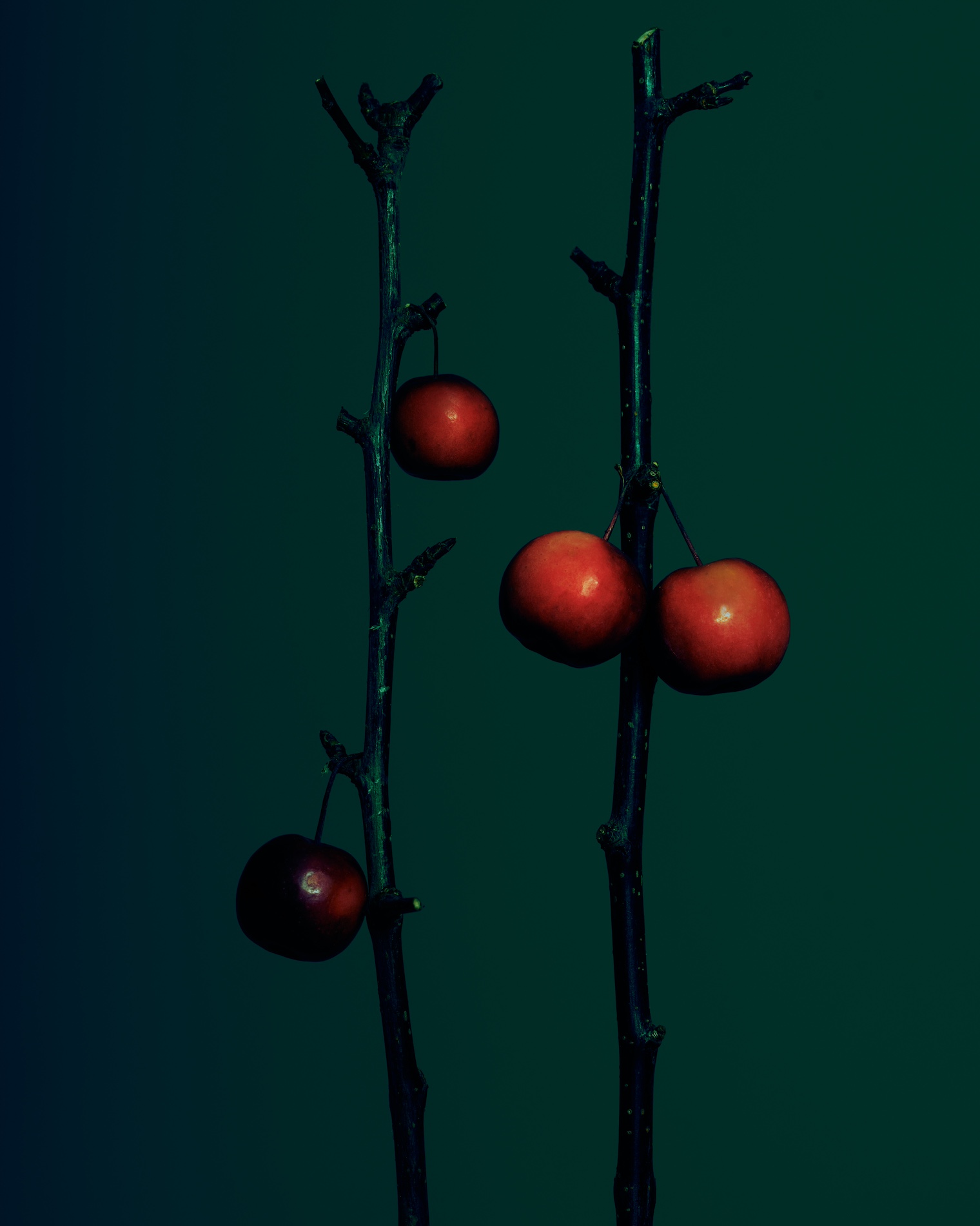 043 Fernando Gomez Craetive Paris Bold Make Up