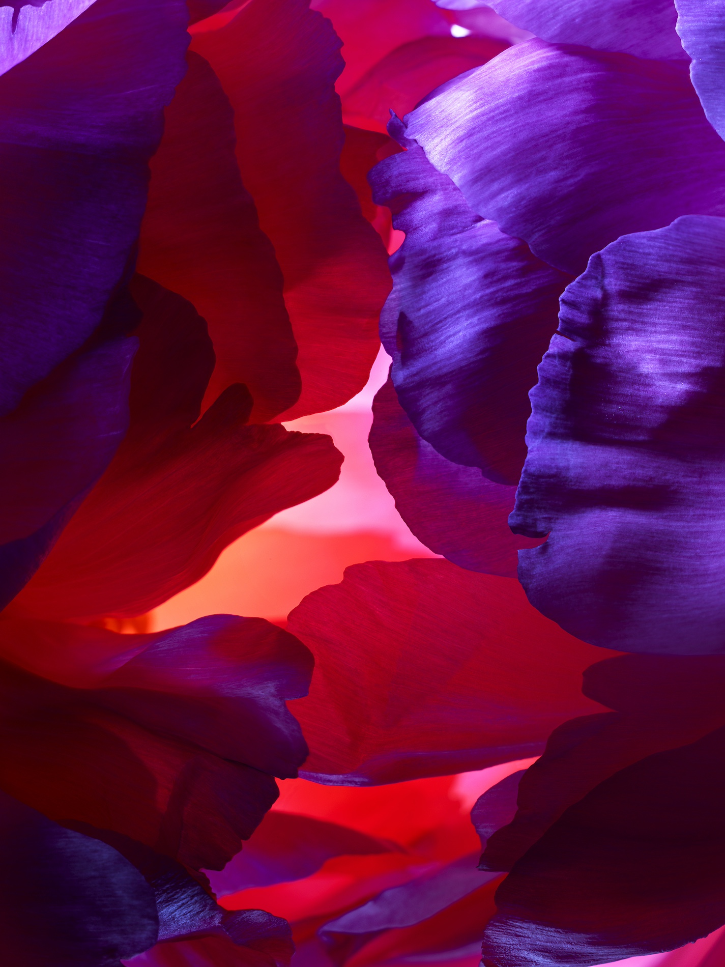 043 Jean Baptiste Degez Flowers Craetive Paris