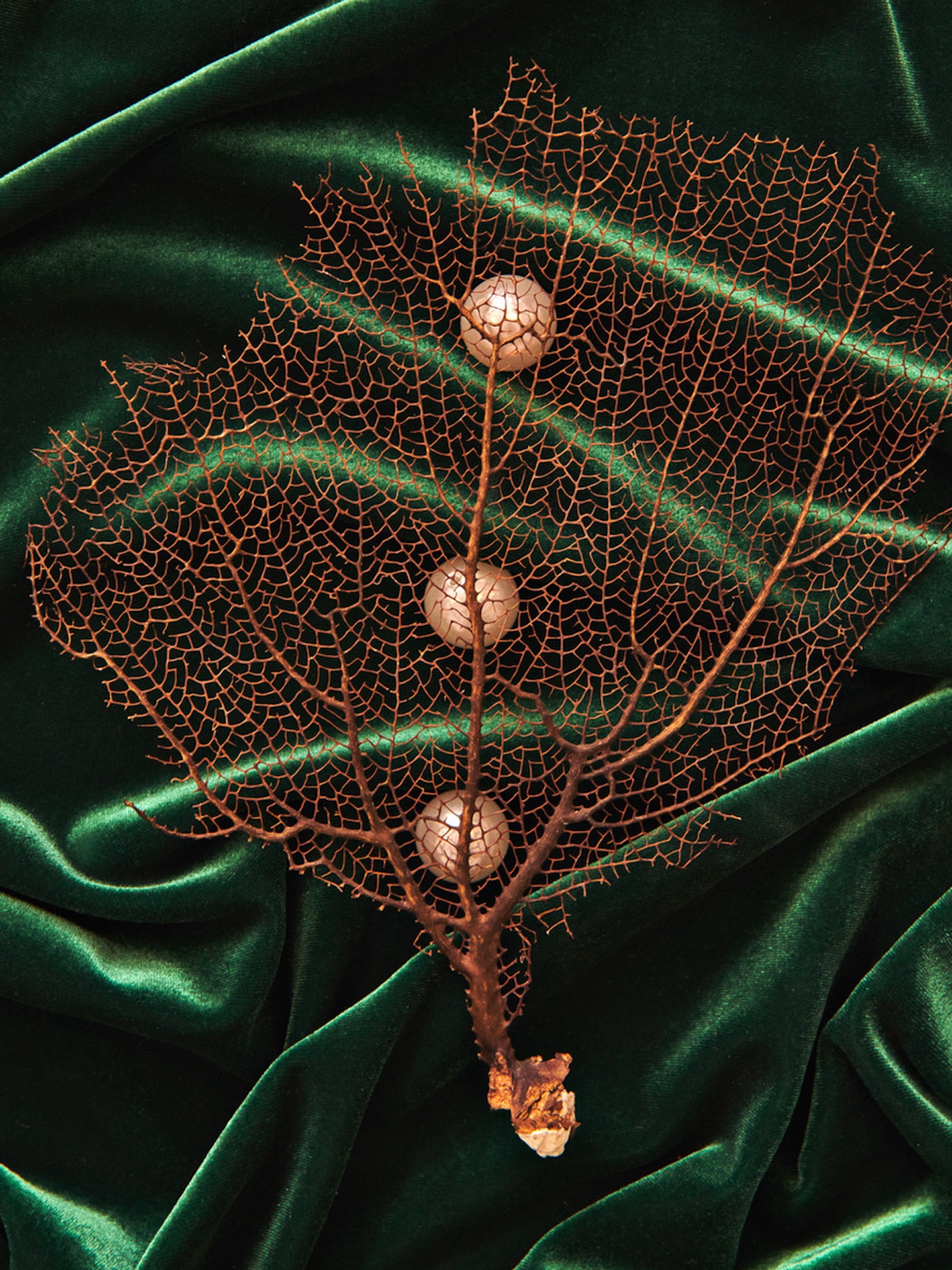 044 Fernando Gomez Craetive Paris Jewelry