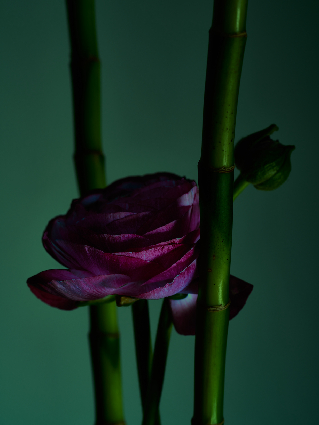 045 Fernando Gomez Craetive Paris Bold Make Up