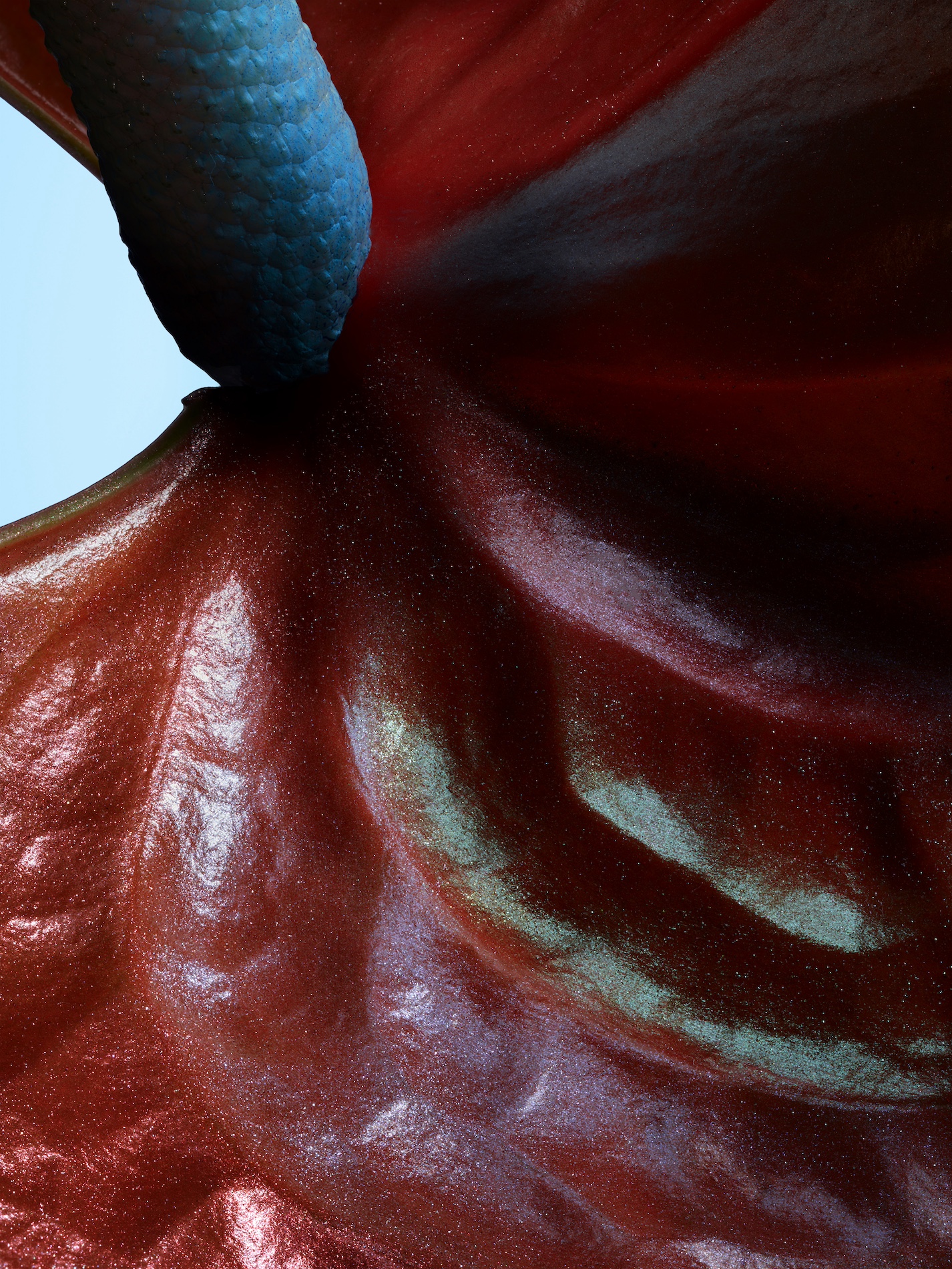 045 Jean Baptiste Degez Flowers Craetive Paris