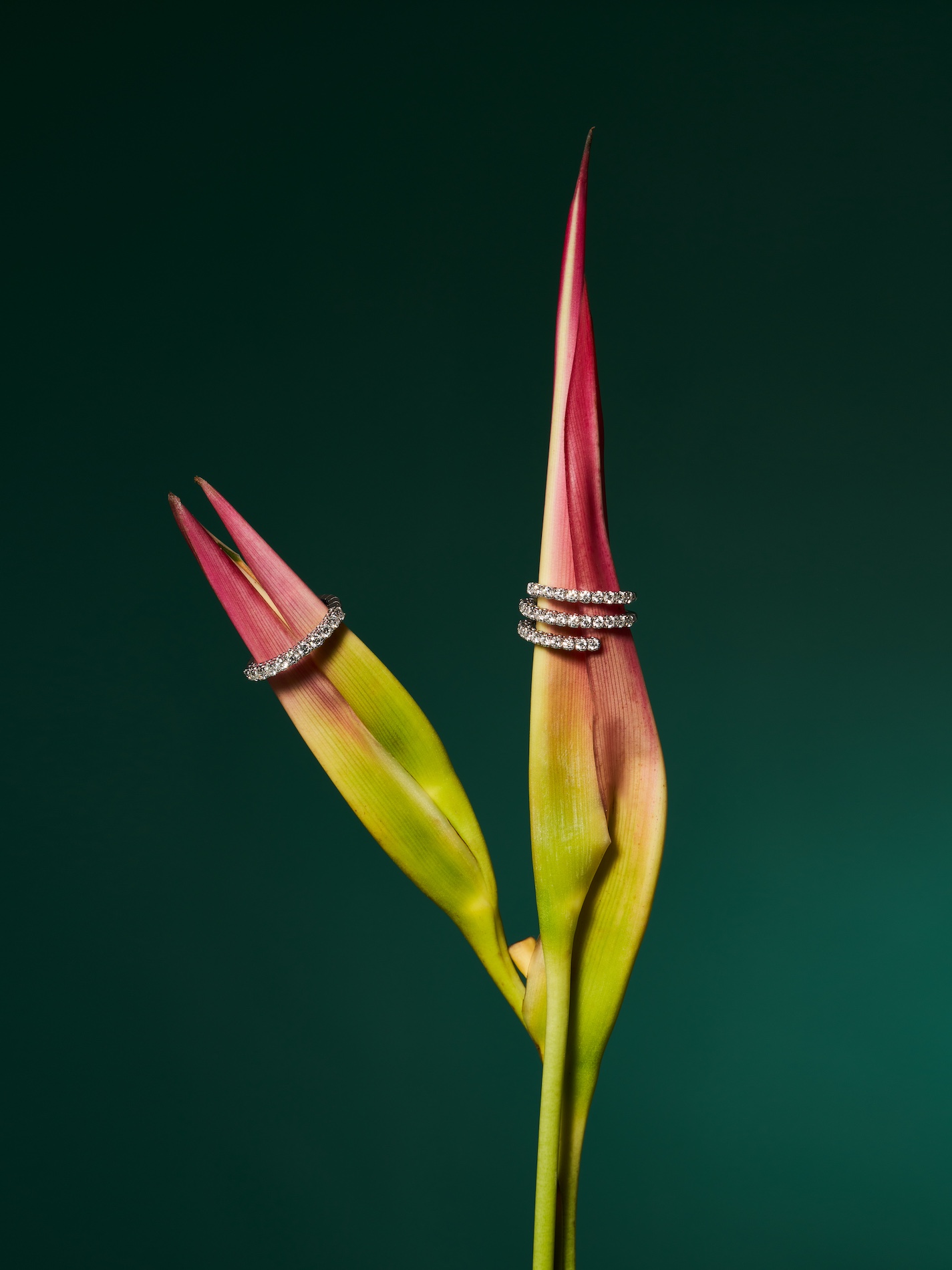 046 Fernando Gomez Craetive Paris Jewelry