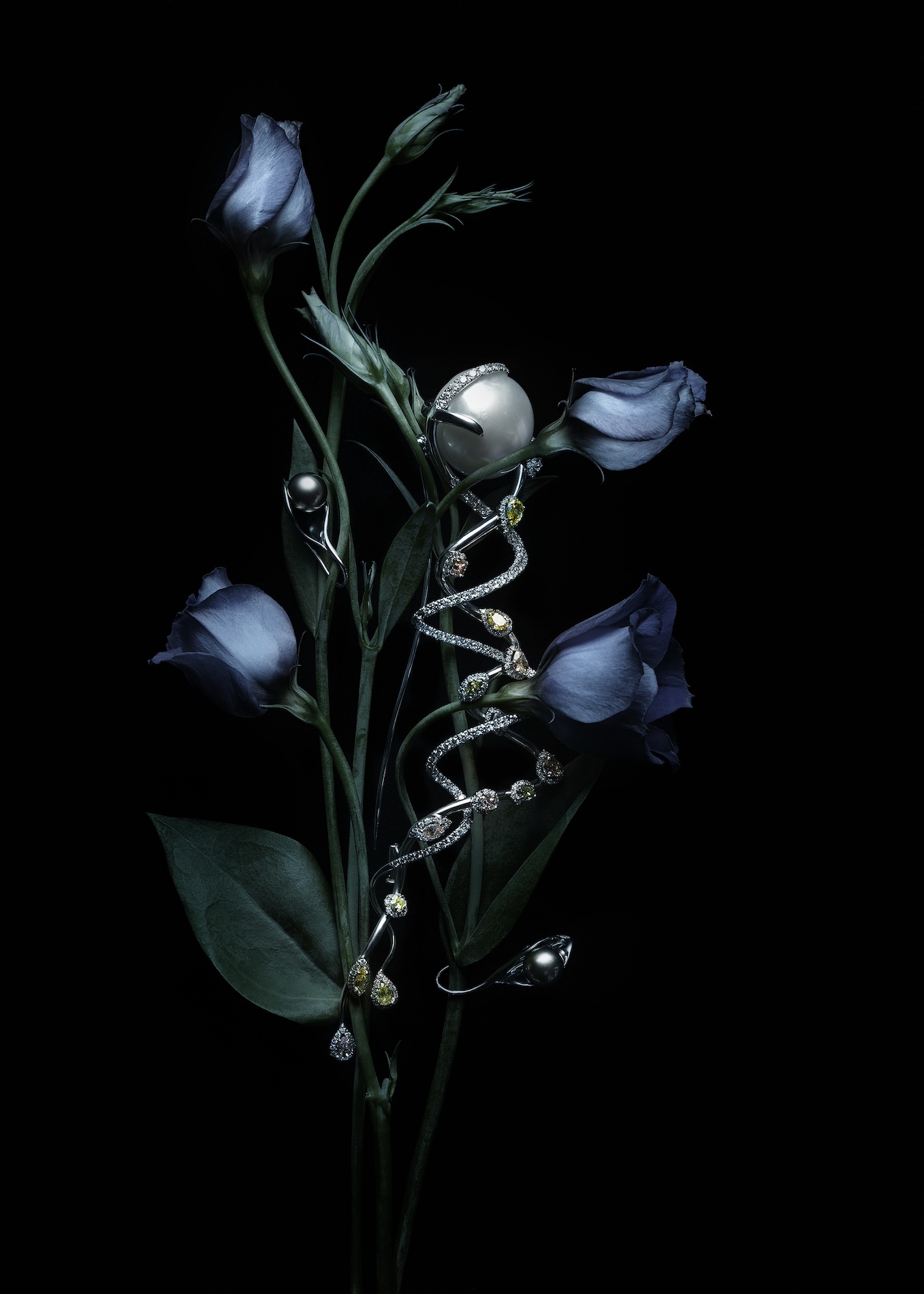 046 Jean Baptiste Degez Craetive Paris Portfolio