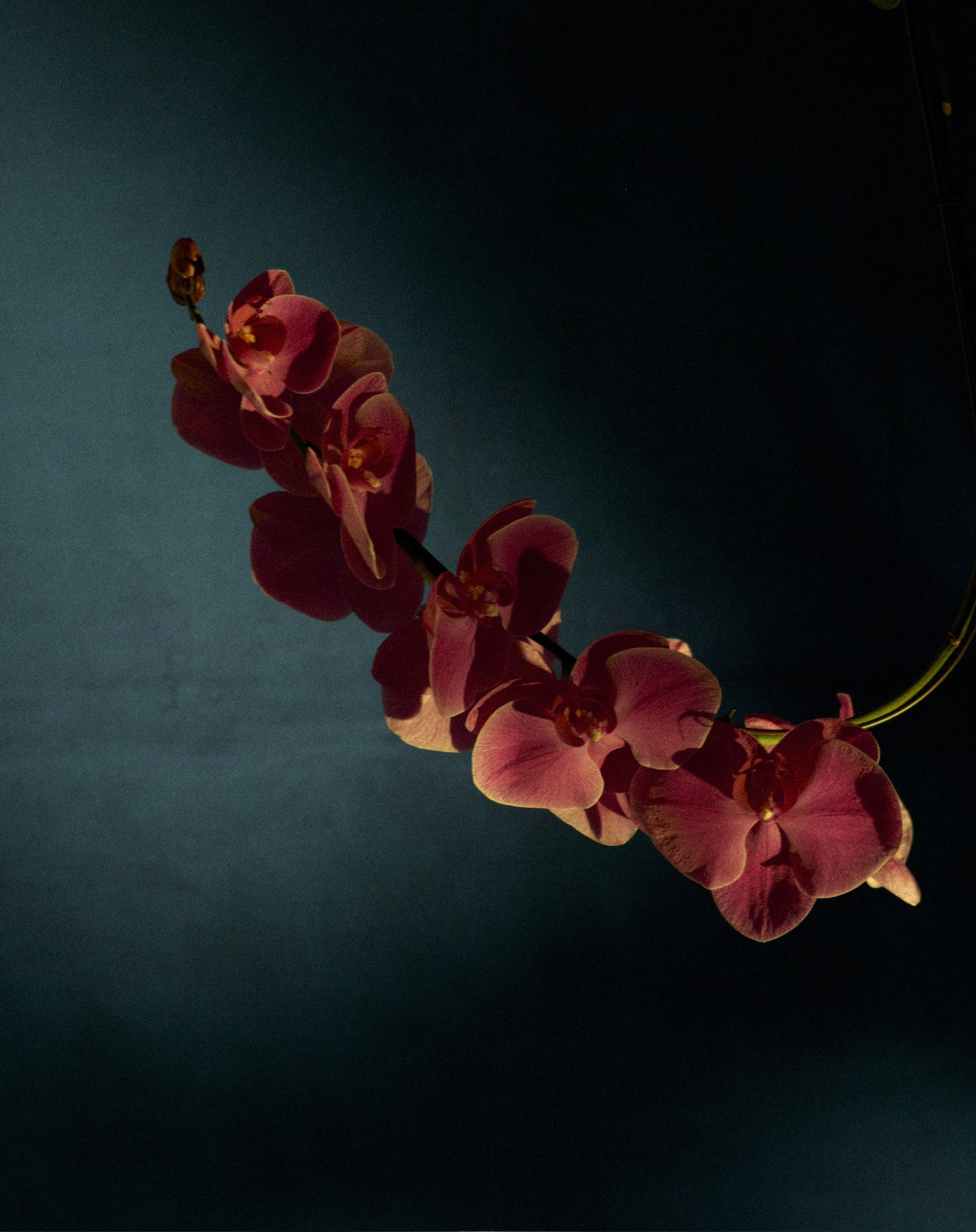 046 Lucian Bor Craetive Paris