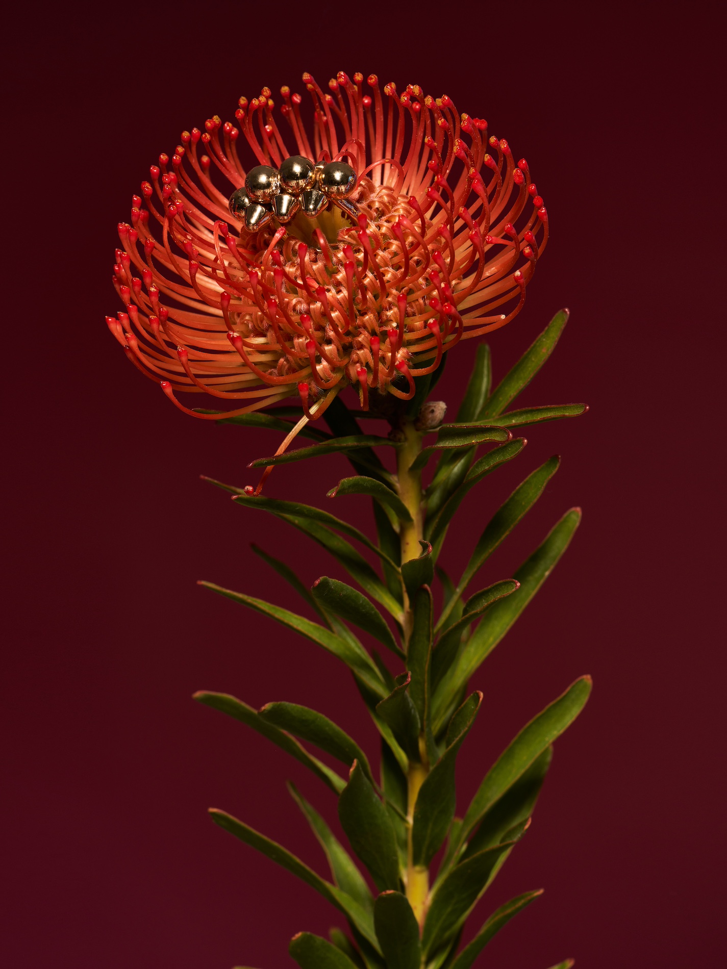 047 Fernando Gomez Craetive Paris Jewelry