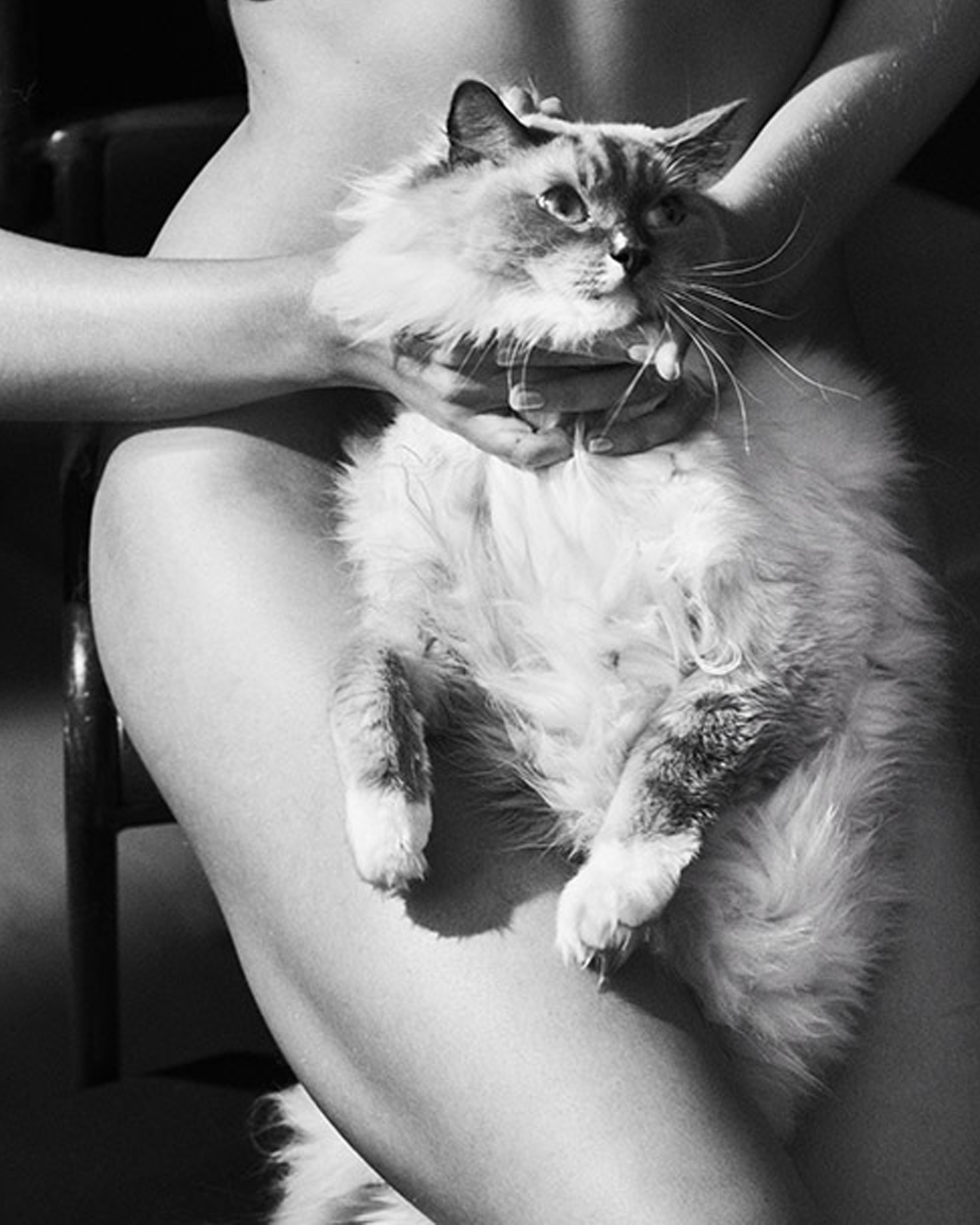 049 Lucian Bor Craetive Paris