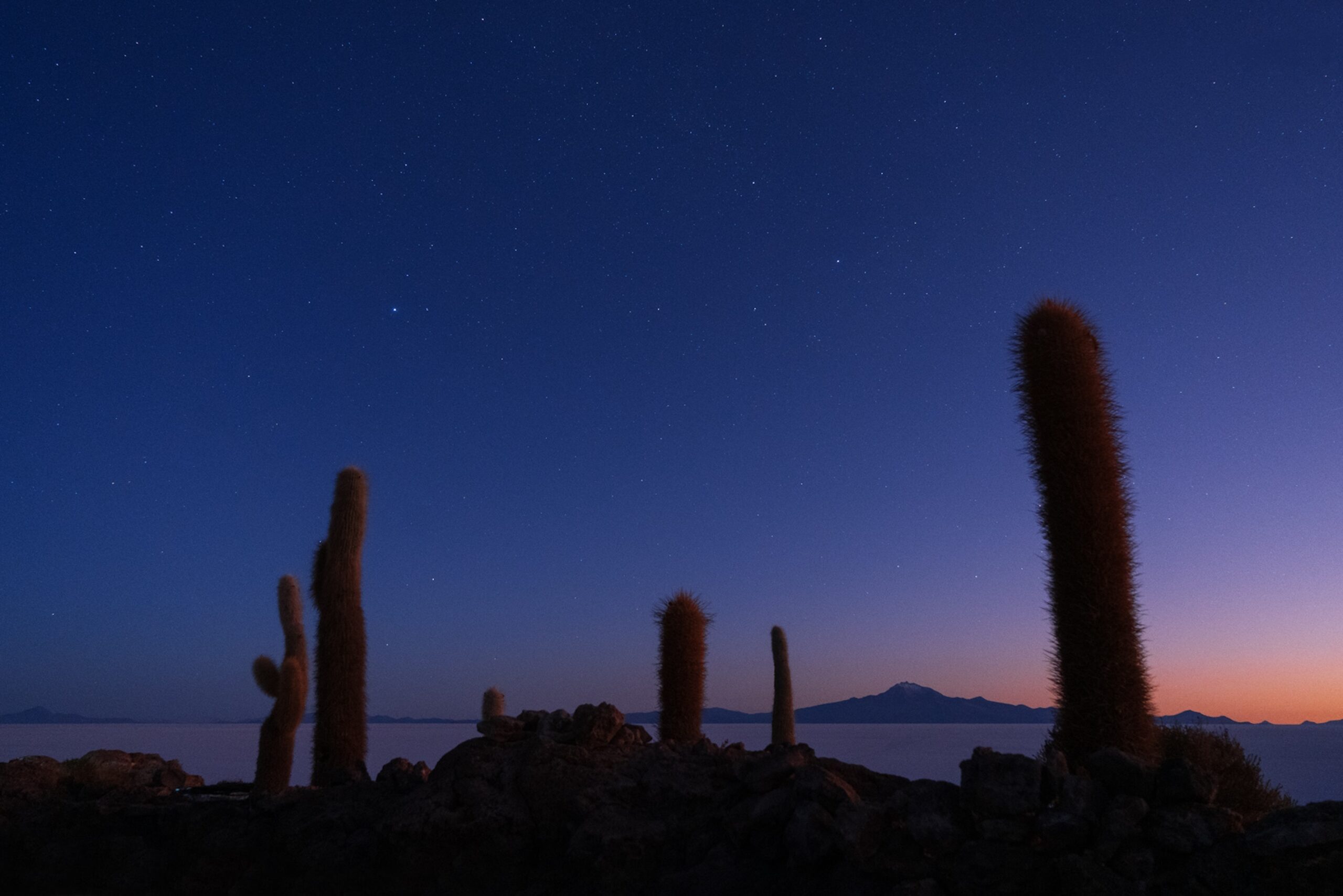 04 JEAN BAPTISTE DEGEZ LANDSCAPES CRAETIVE PARIS BOLIVIA 7