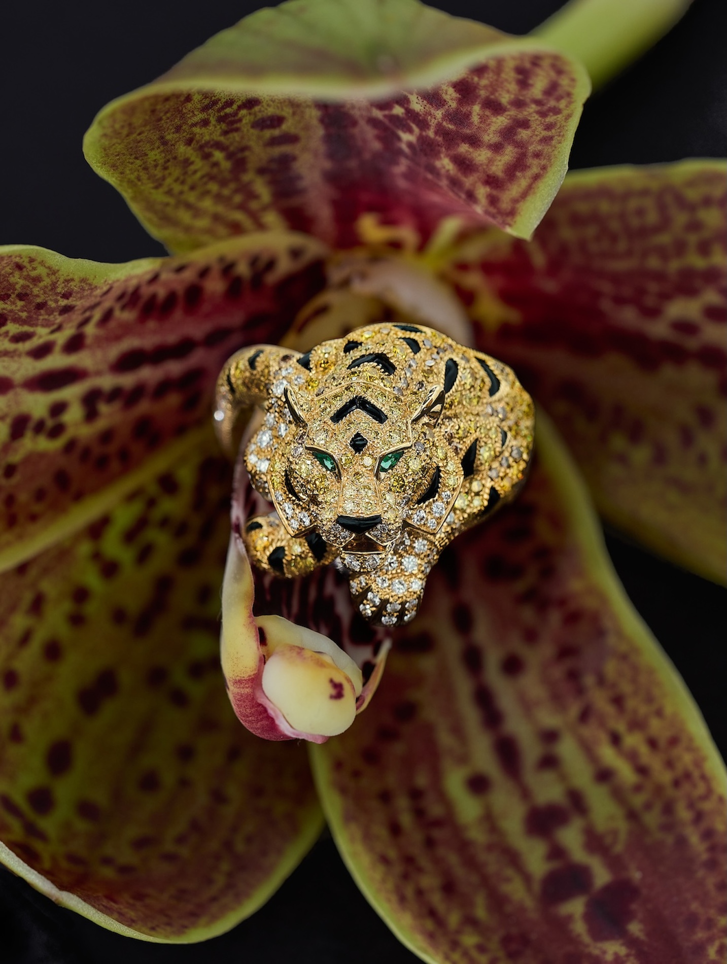 052 Fernando Gomez Craetive Paris Jewelry