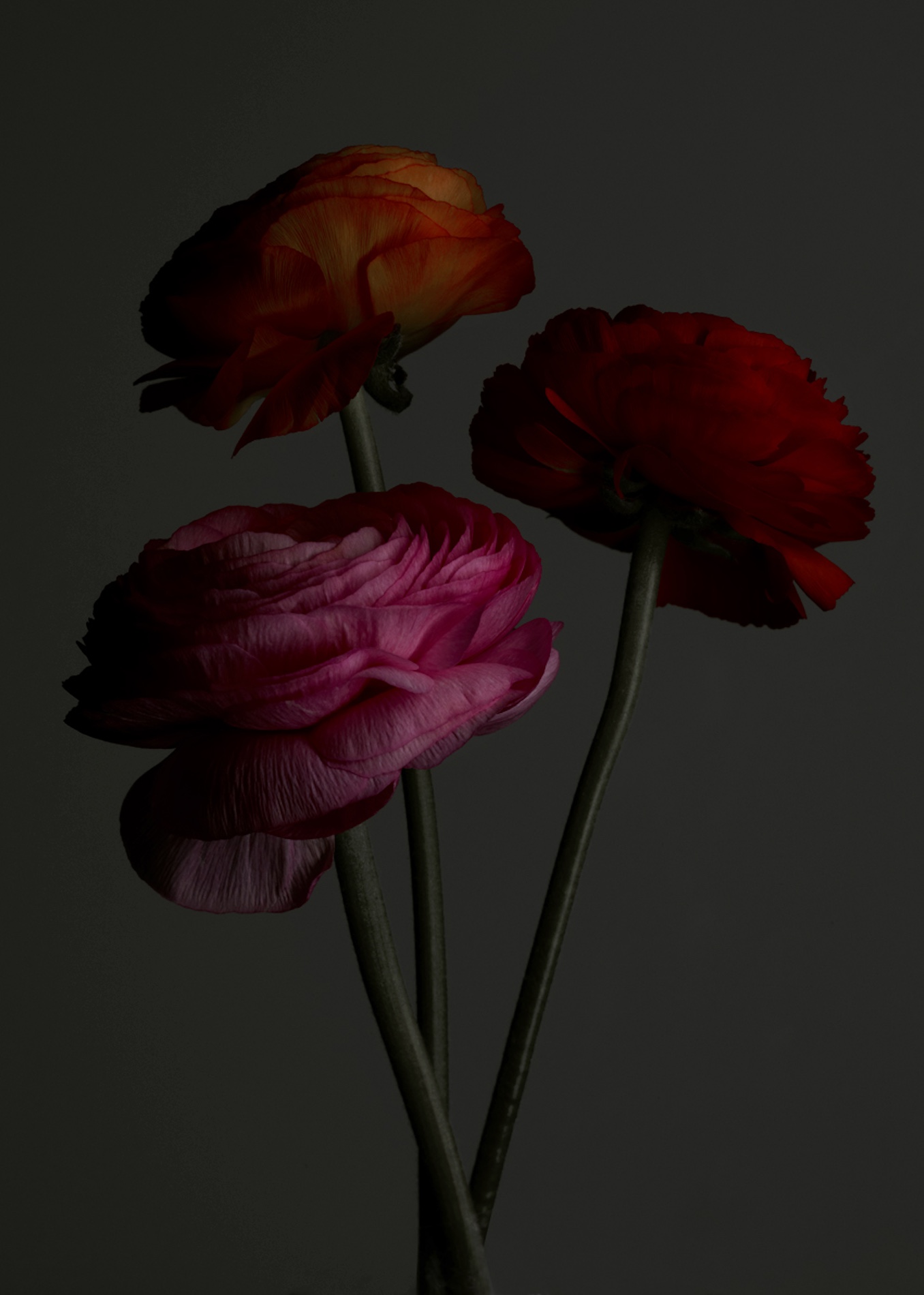 052 Jean Baptiste Degez Flowers Craetive Paris