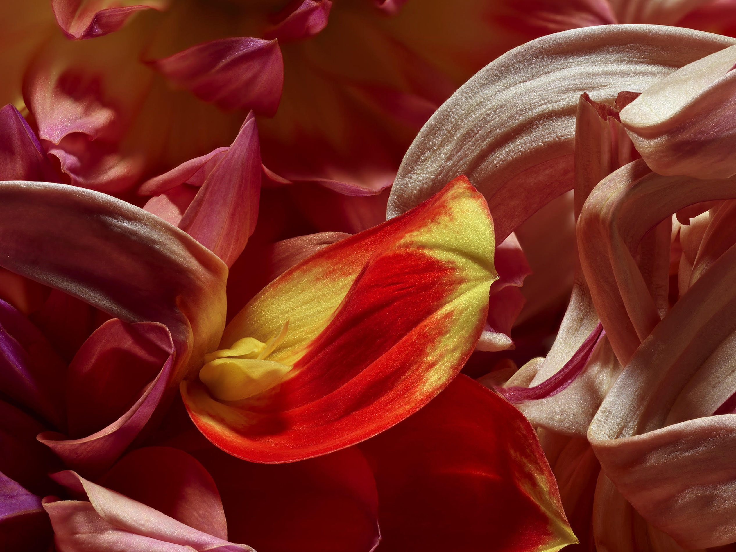 054 Jean Baptiste Degez Flowers Craetive Paris