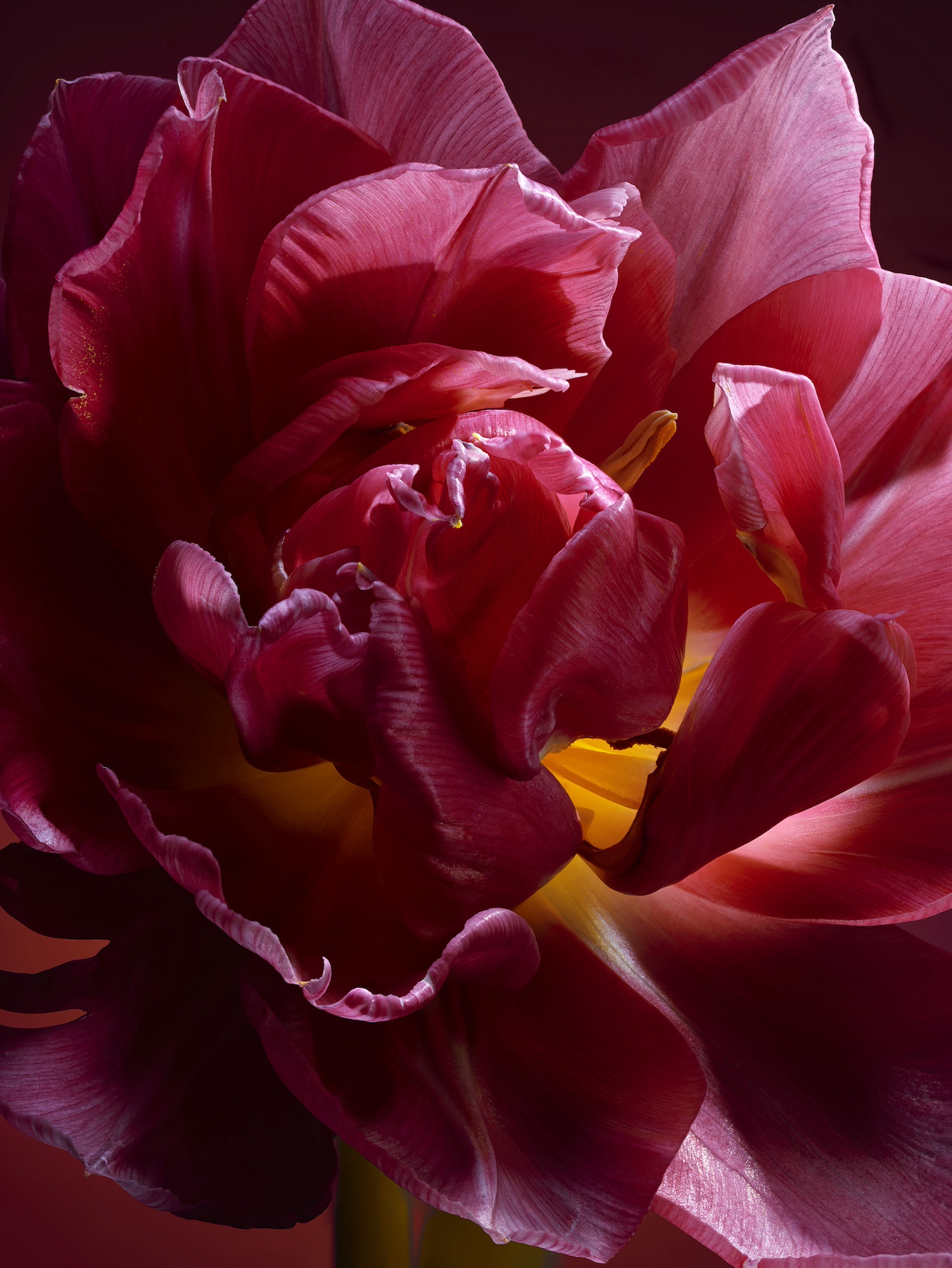 056 Jean Baptiste Degez Flowers Craetive Paris