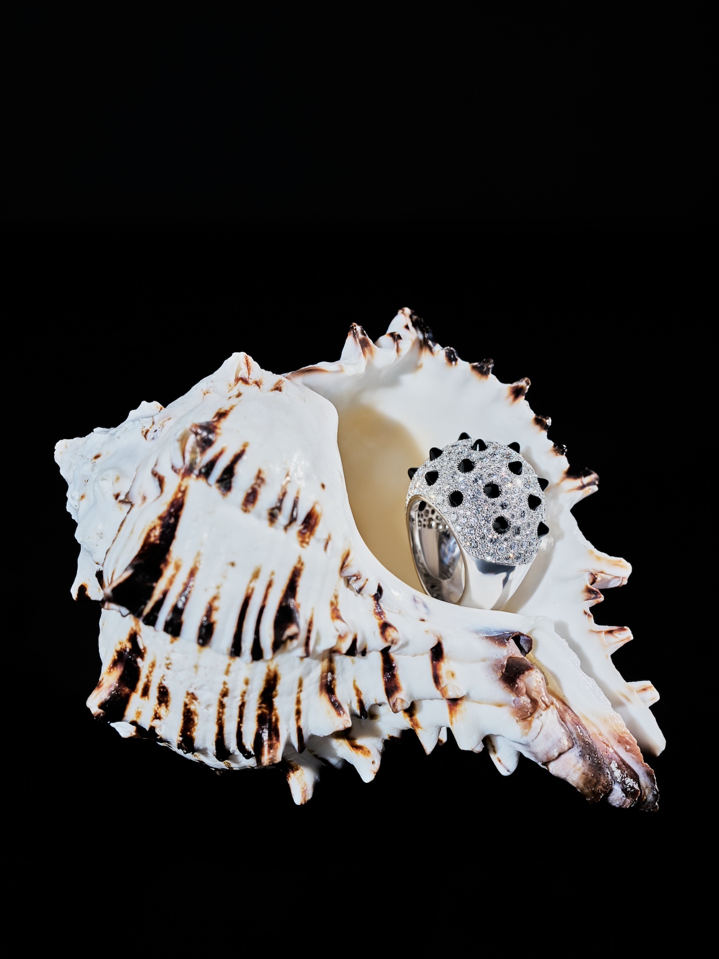 057 Fernando Gomez Craetive Paris Jewelry Cartier