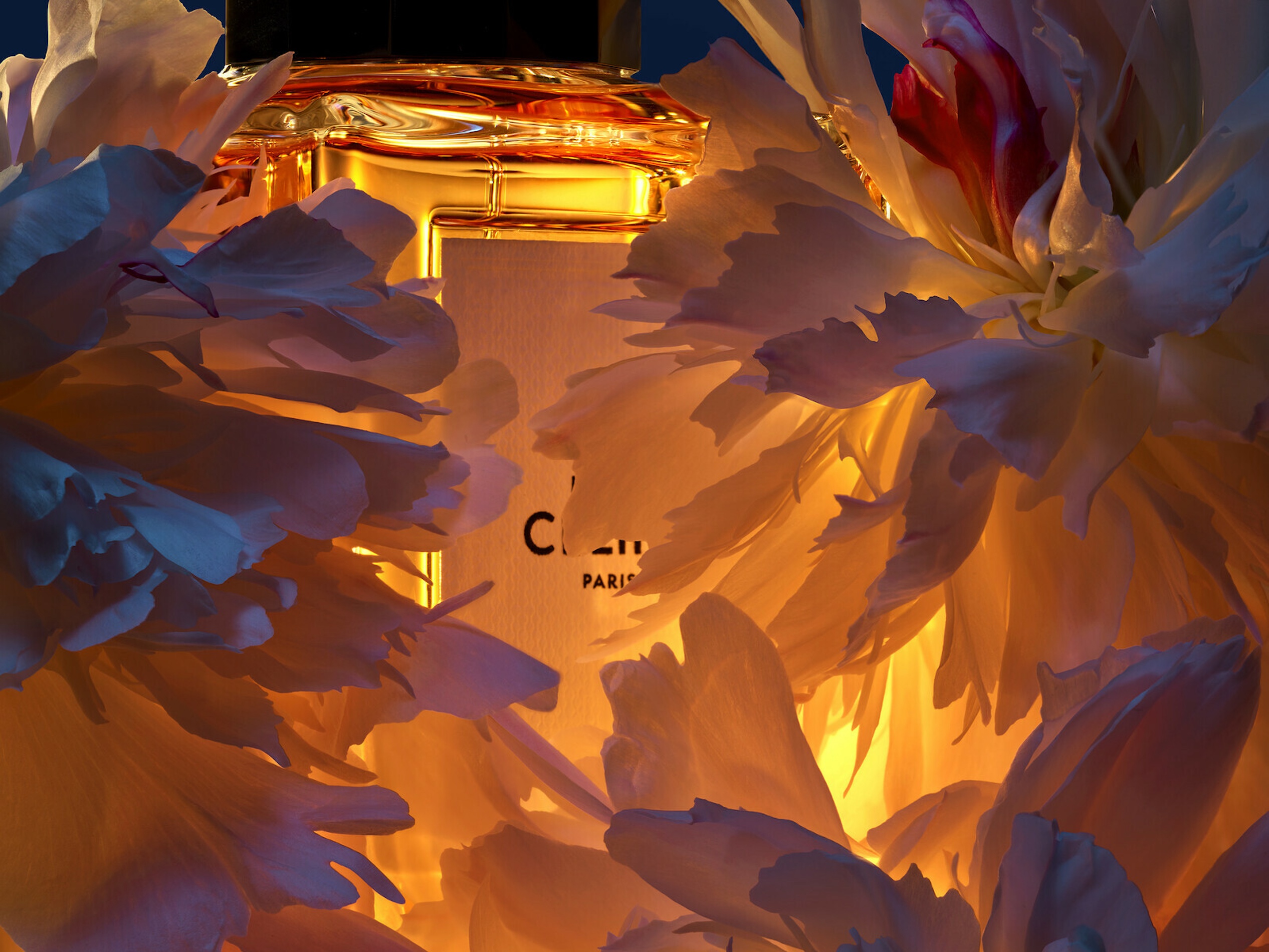 059 Jean Baptiste Degez Flowers Craetive Paris