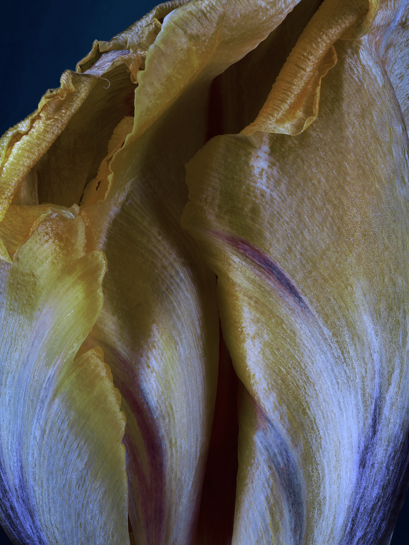 061 Jean Baptiste Degez Craetive Paris Portfolio