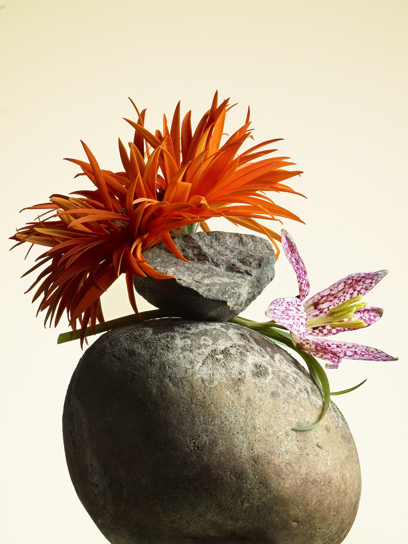 061 Jean Baptiste Degez Flowers Craetive Paris