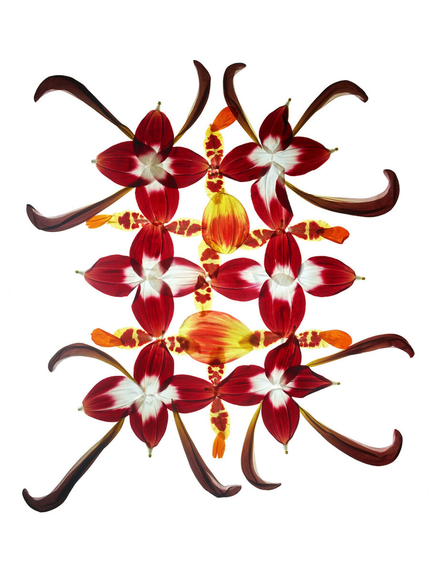 062 Jean Baptiste Degez Flowers Craetive Paris