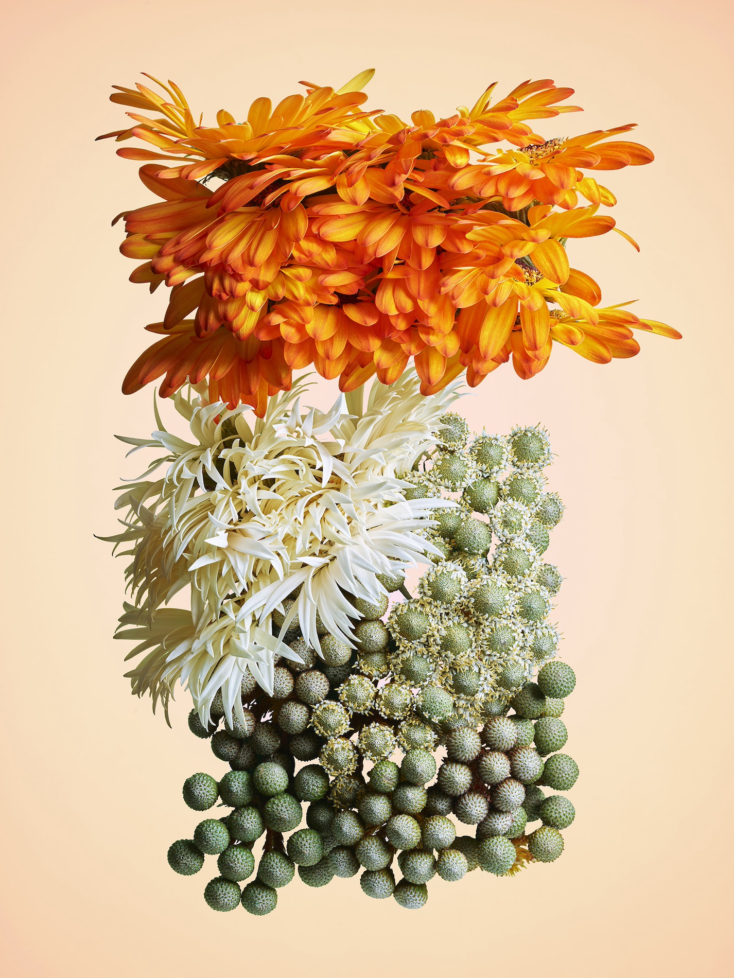 063 Jean Baptiste Degez Flowers Craetive Paris