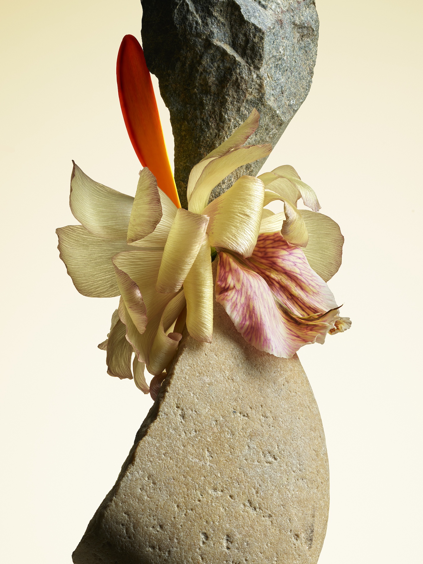 064 Jean Baptiste Degez Flowers Craetive Paris