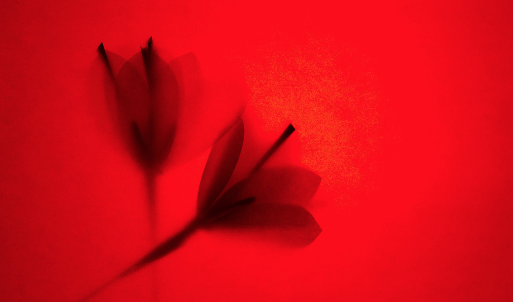 067 Cloe Vriet Craetive Paris Paper Artist Portfolio