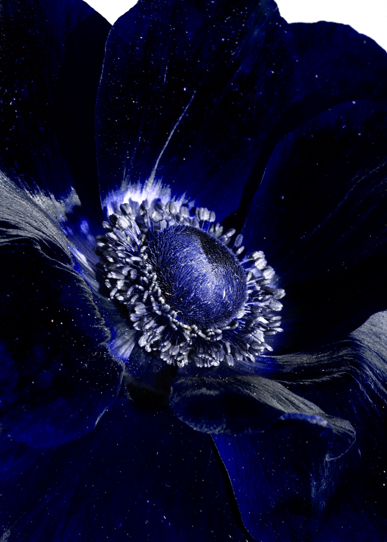 067 Fernando Gomez Craetive Paris Bold Make Up