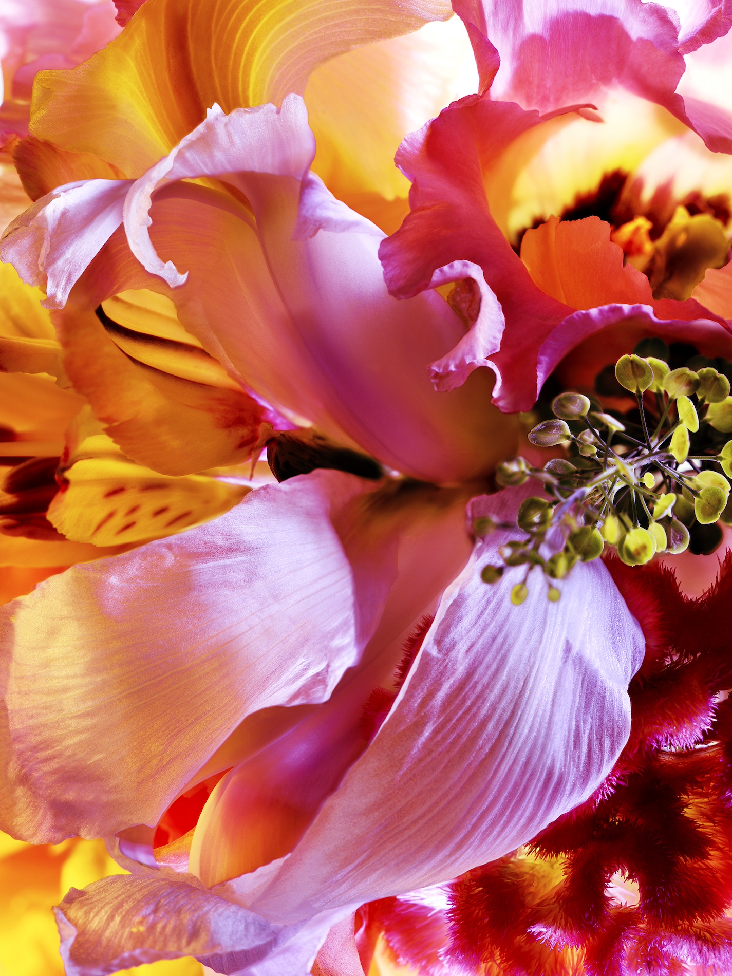 069 Jean Baptiste Degez Flowers Craetive Paris