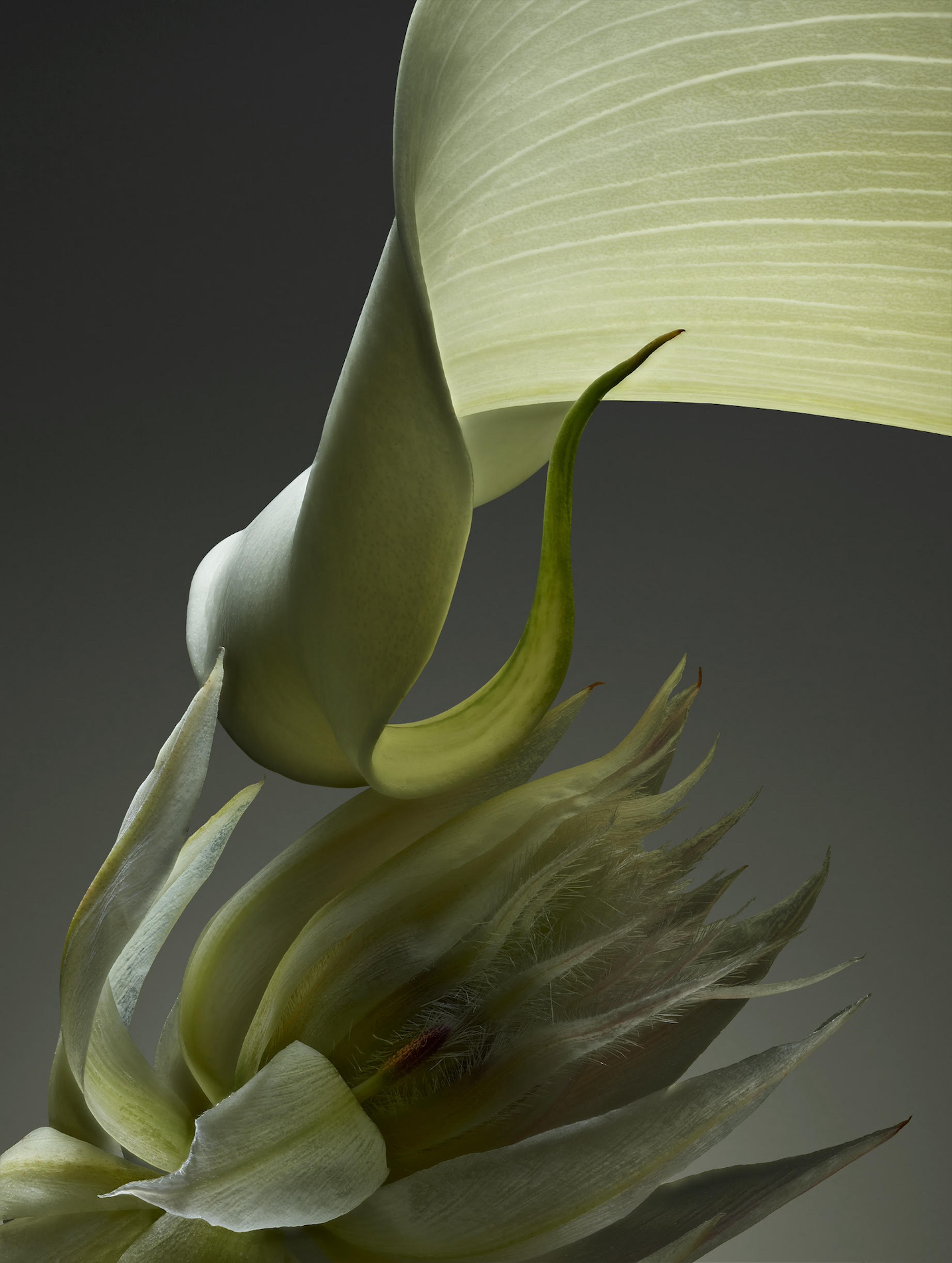 070 Jean Baptiste Degez Craetive Paris Portfolio