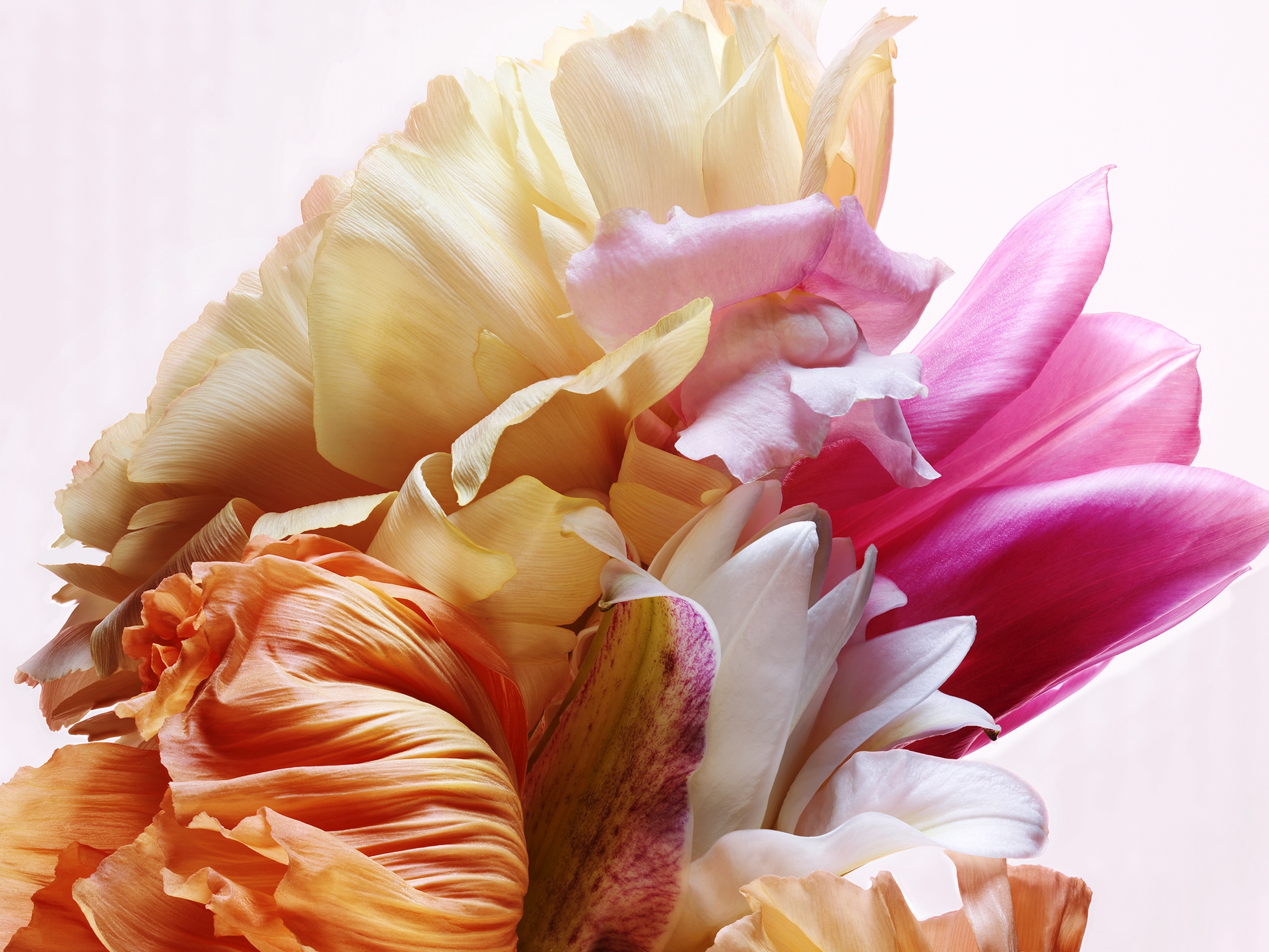 070 Jean Baptiste Degez Flowers Craetive Paris