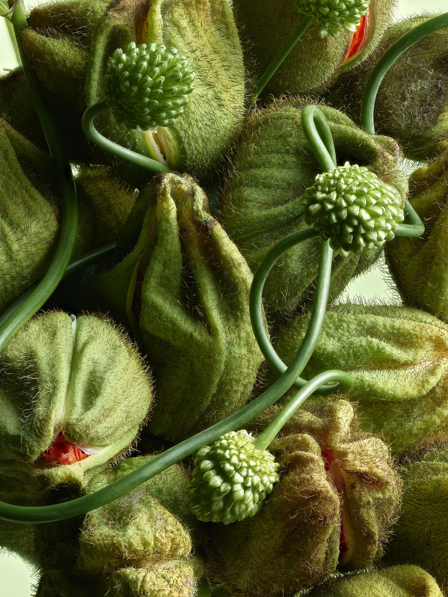 071 Jean Baptiste Degez Craetive Paris Portfolio