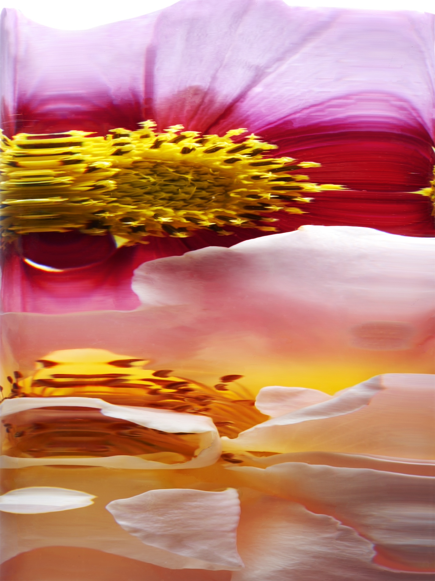 071 Jean Baptiste Degez Flowers Craetive Paris