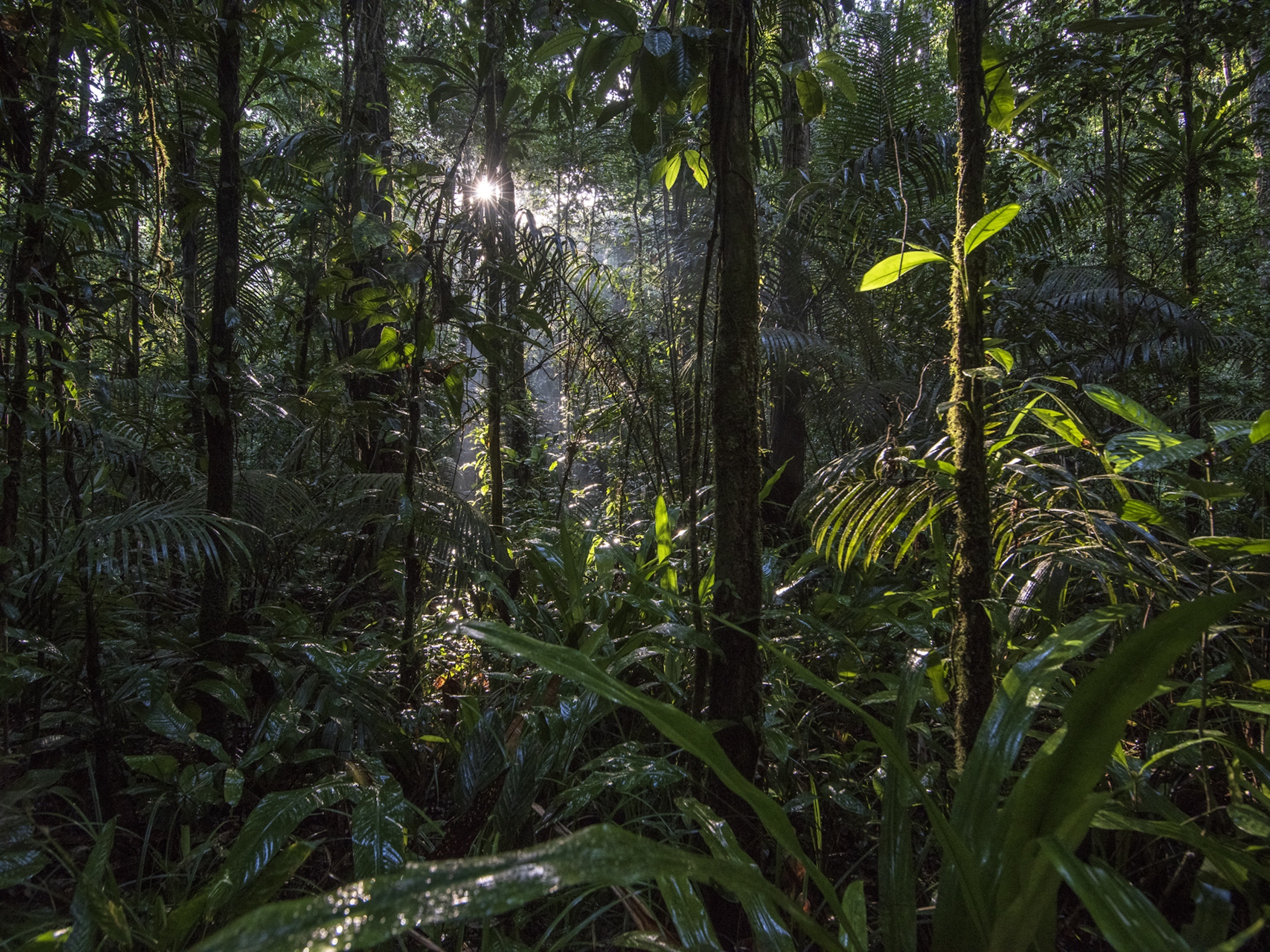 073 Jean Baptiste Degez Craetive Paris Portfolio