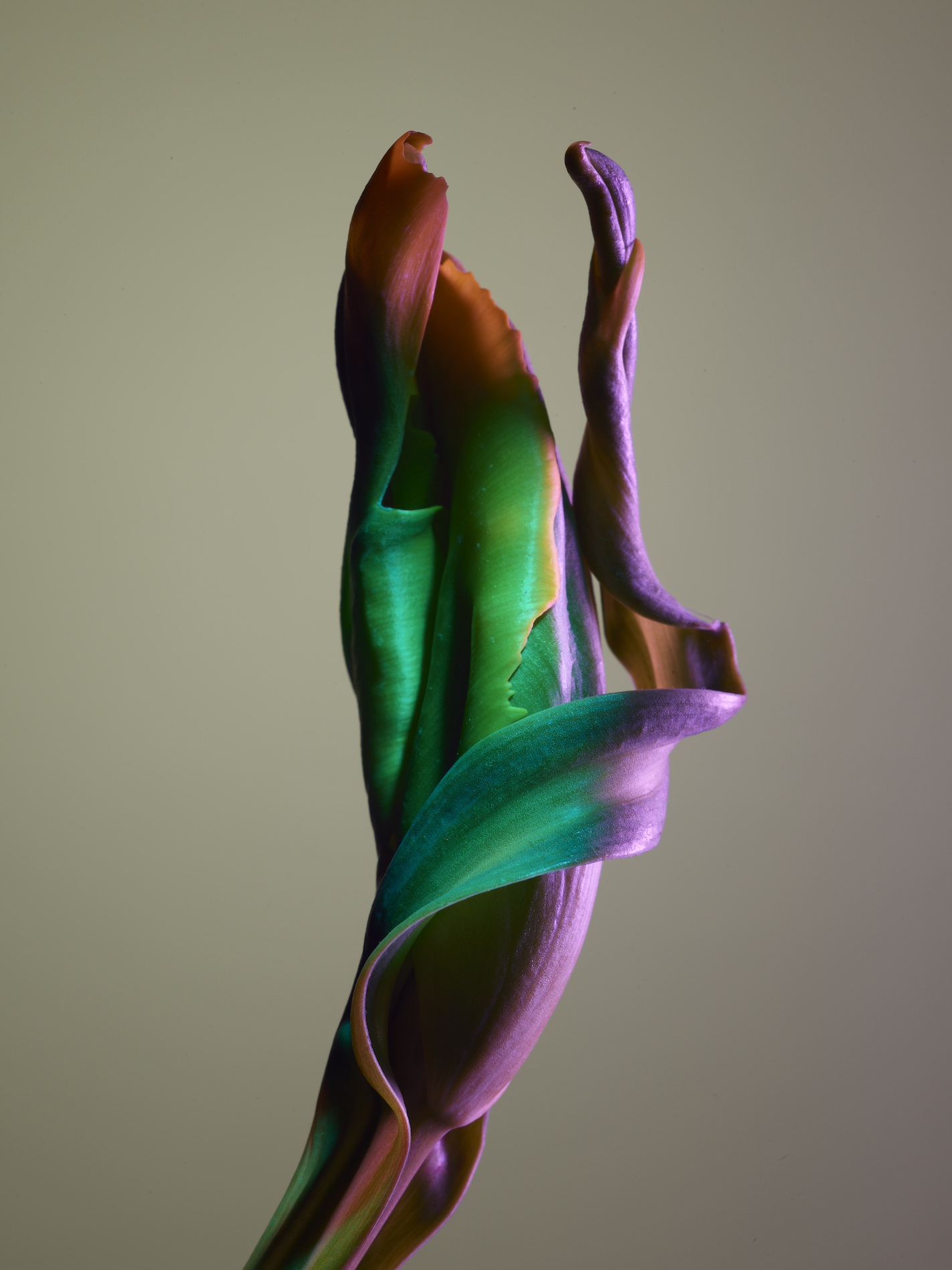 074 Jean Baptiste Degez Craetive Paris Portfolio