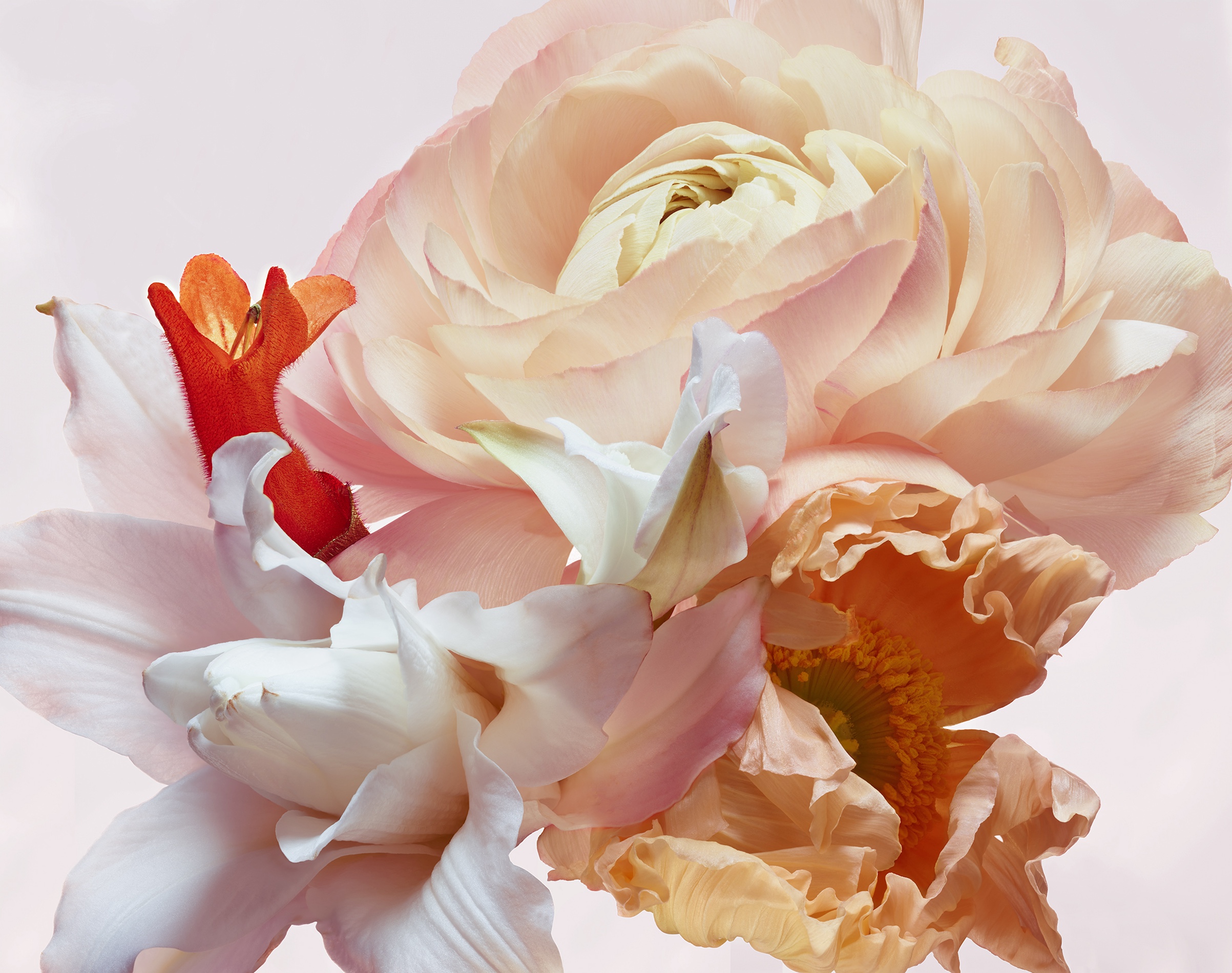 075 Jean Baptiste Degez Flowers Craetive Paris