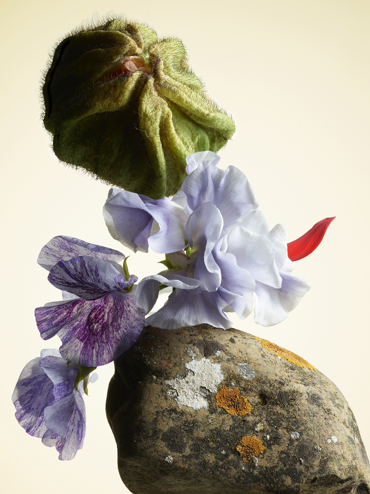 076 Jean Baptiste Degez Craetive Paris Portfolio