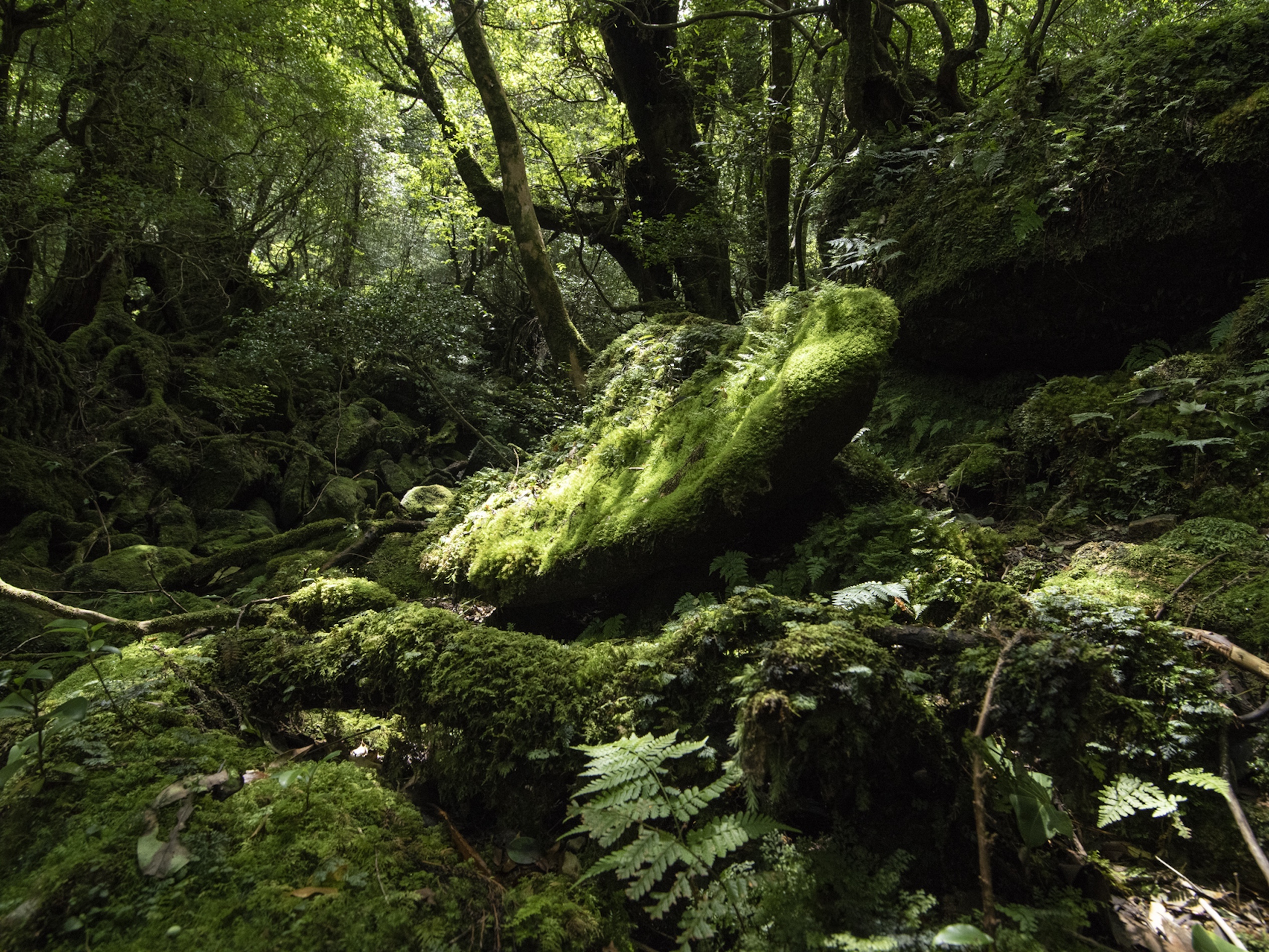 079 Jean Baptiste Degez Craetive Paris Portfolio
