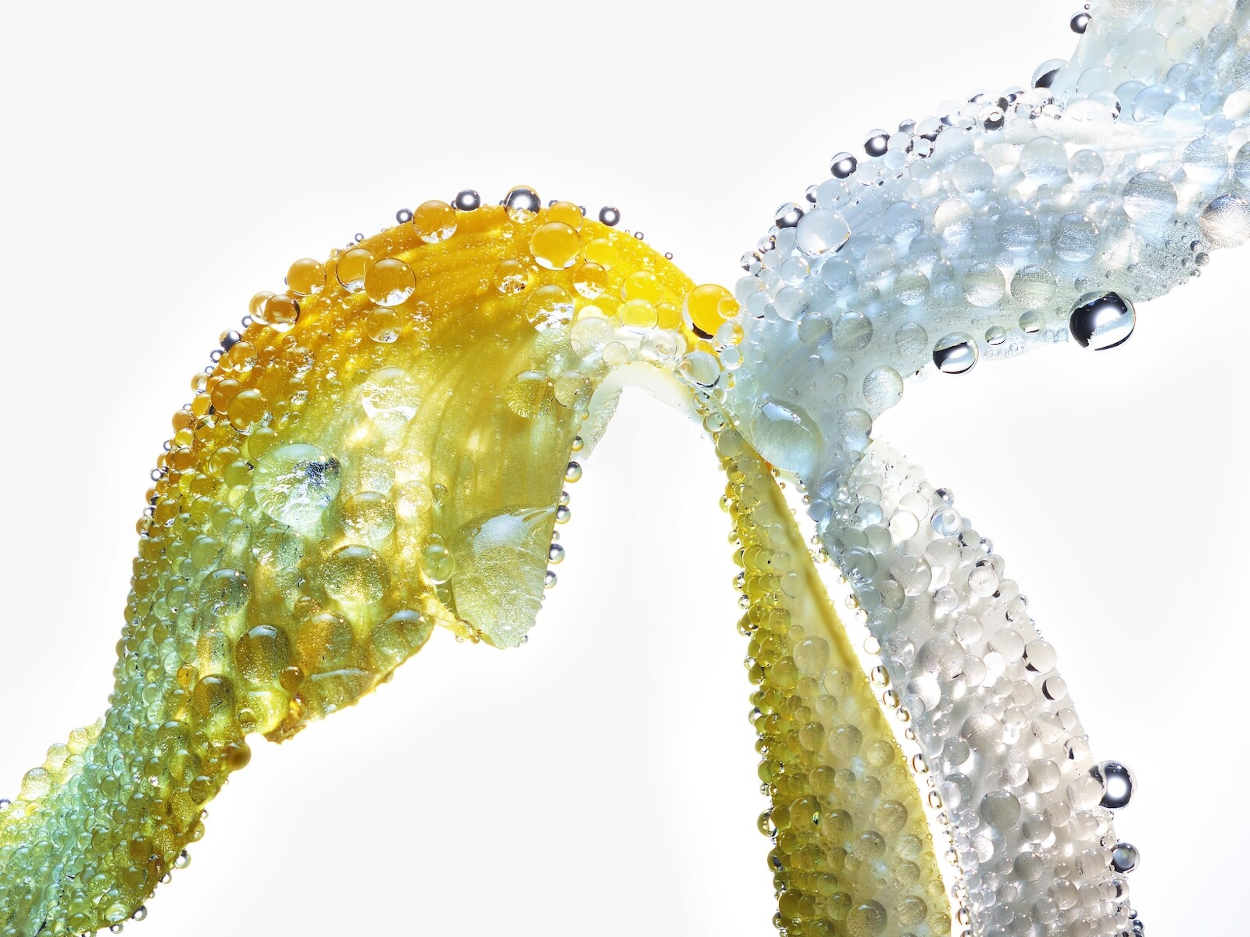 080 Jean Baptiste Degez Craetive Paris Portfolio