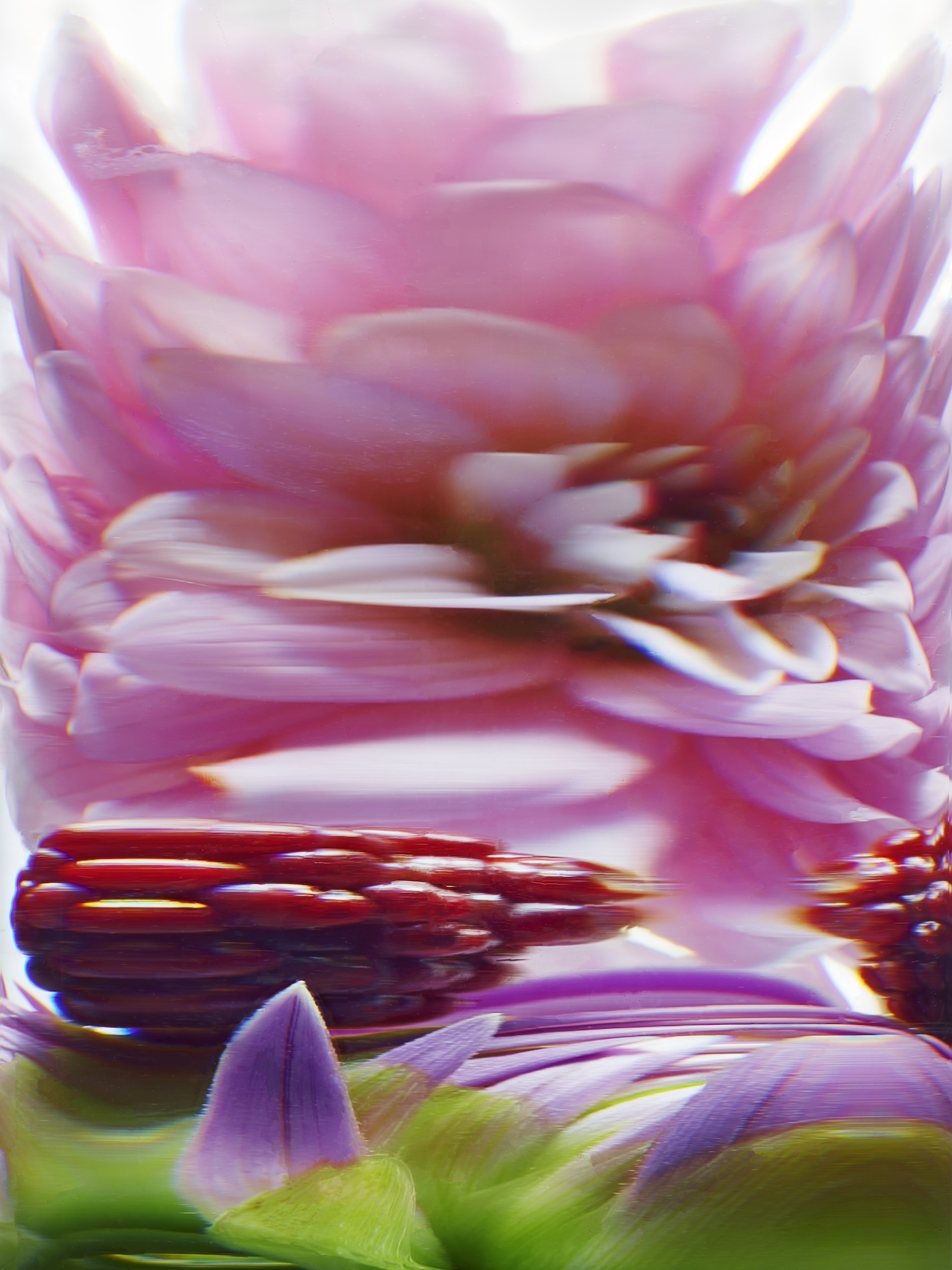 081 Jean Baptiste Degez Flowers Craetive Paris