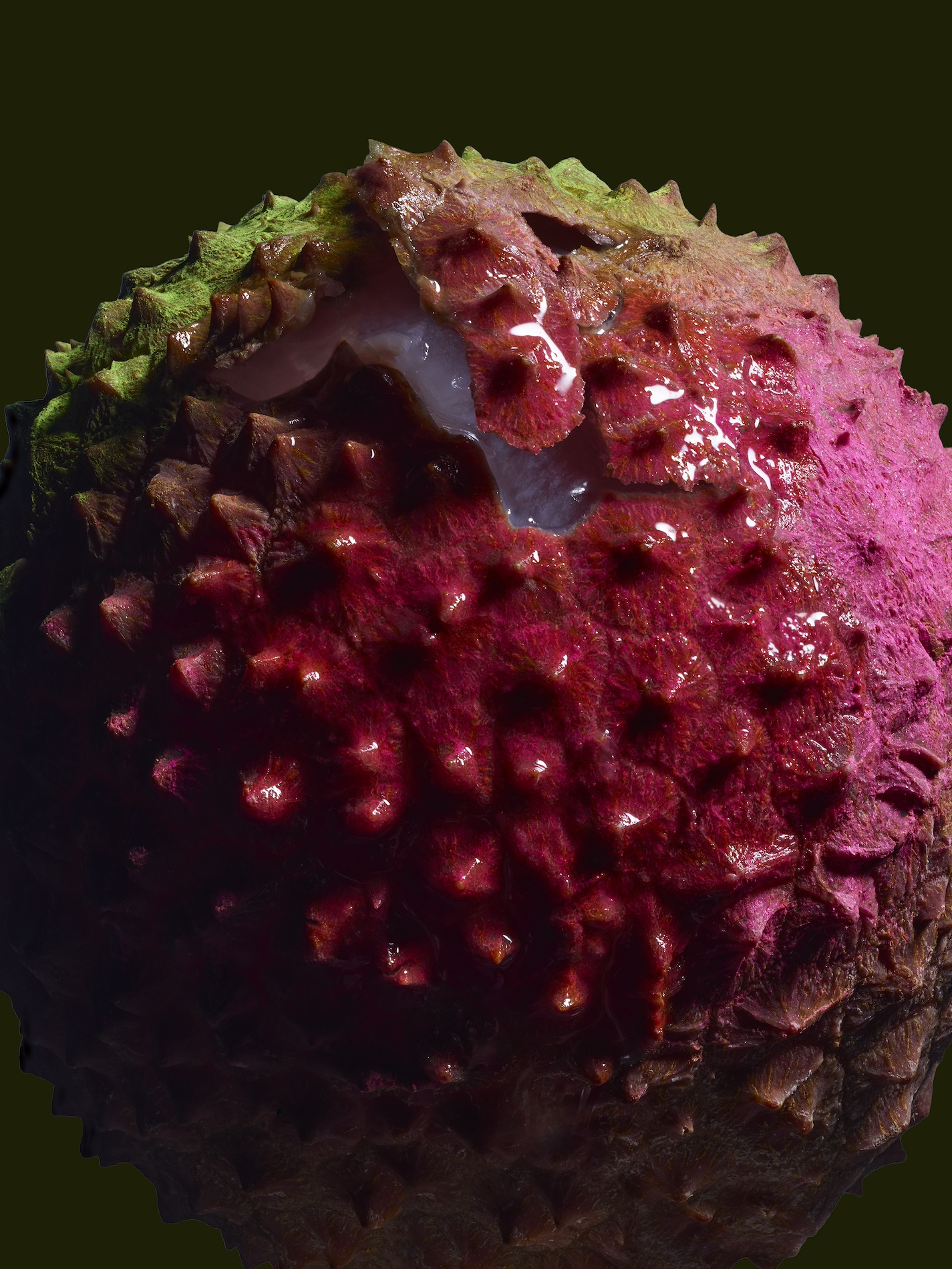 082 Jean Baptiste Degez Flowers Craetive Paris