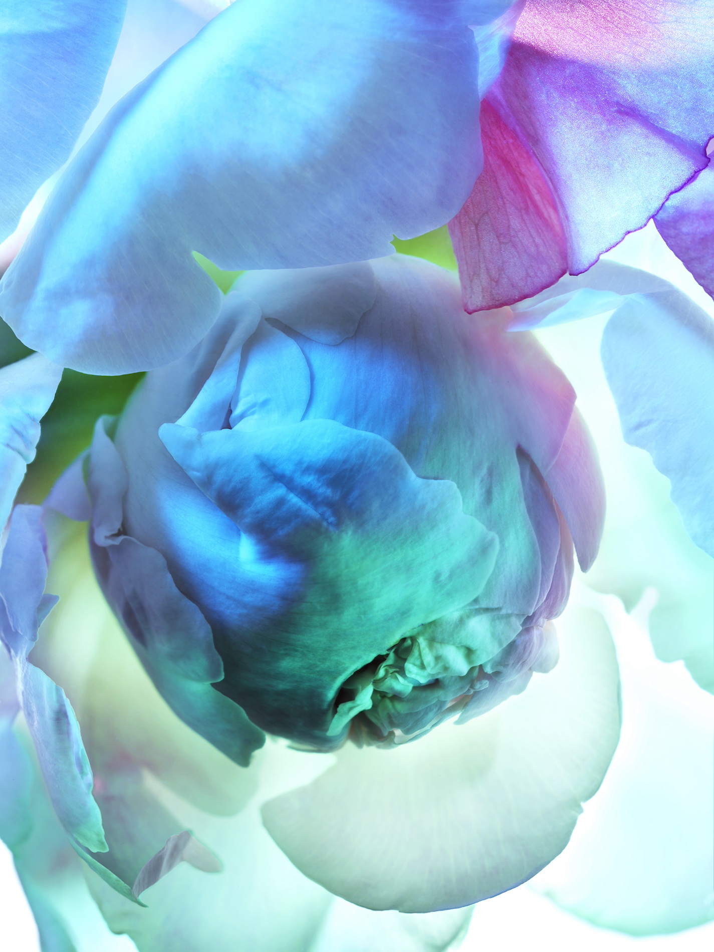 083 Jean Baptiste Degez Craetive Paris Portfolio