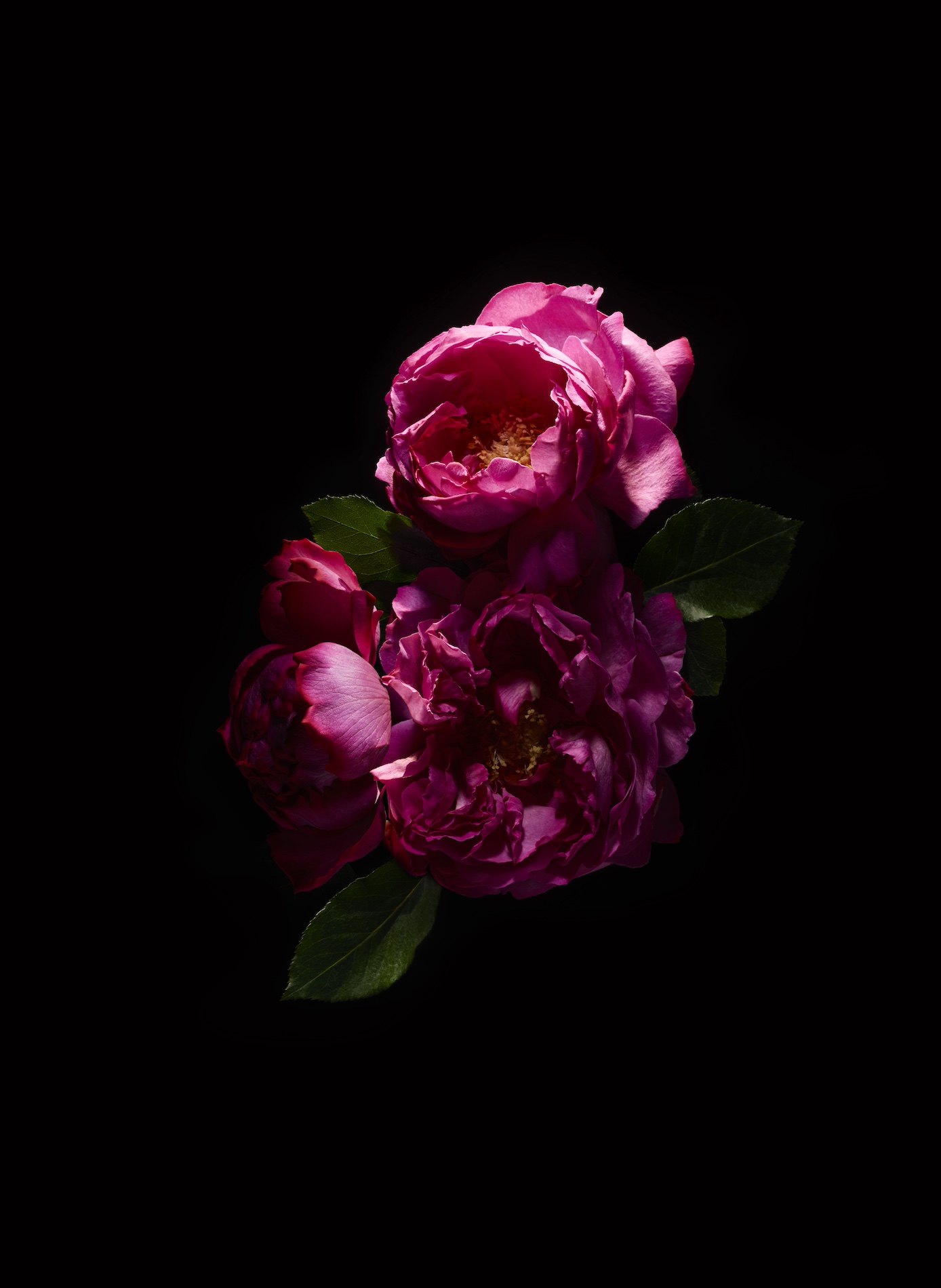 084 Jean Baptiste Degez Flowers Craetive Paris