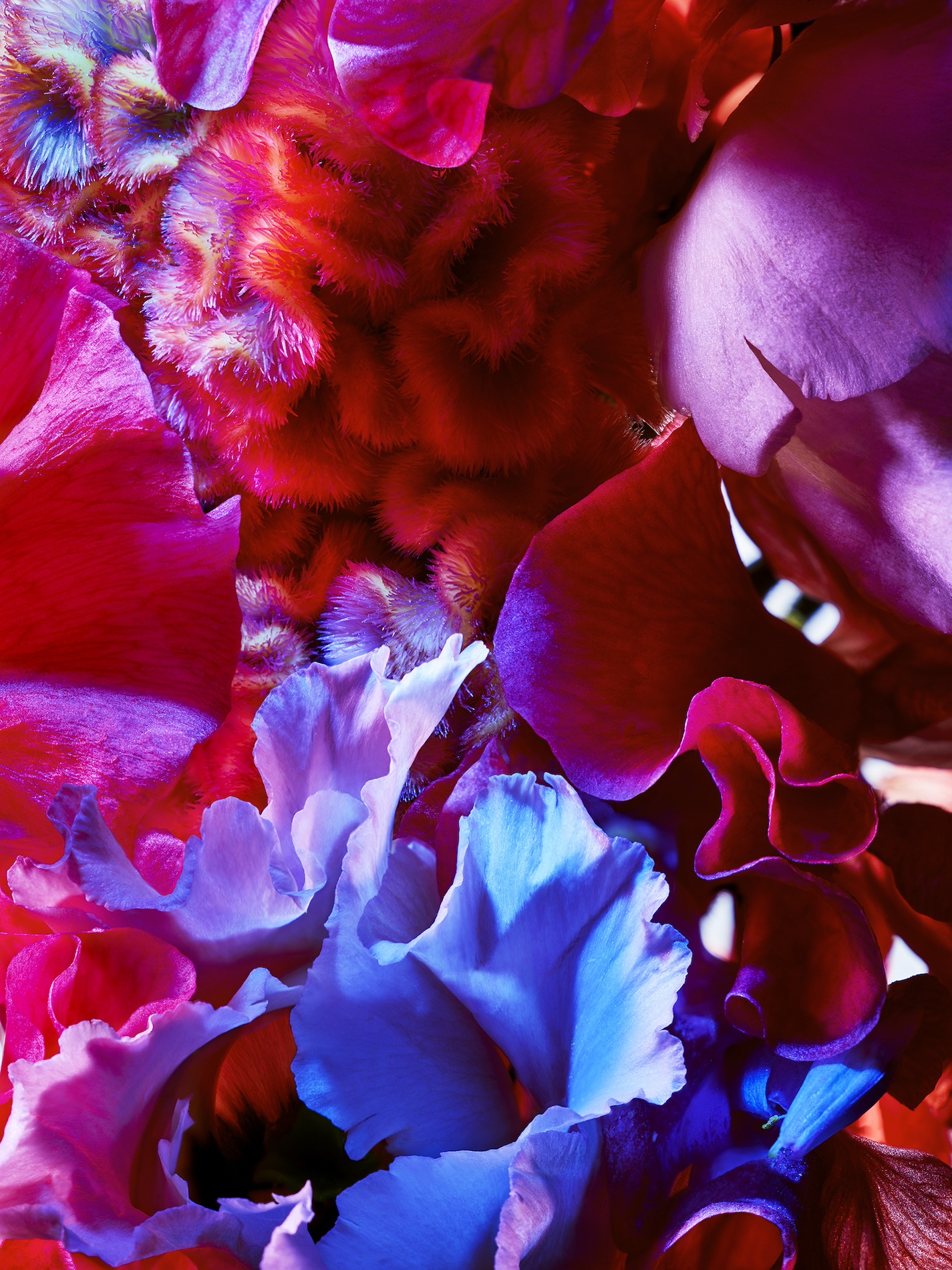 087 Jean Baptiste Degez Flowers Craetive Paris